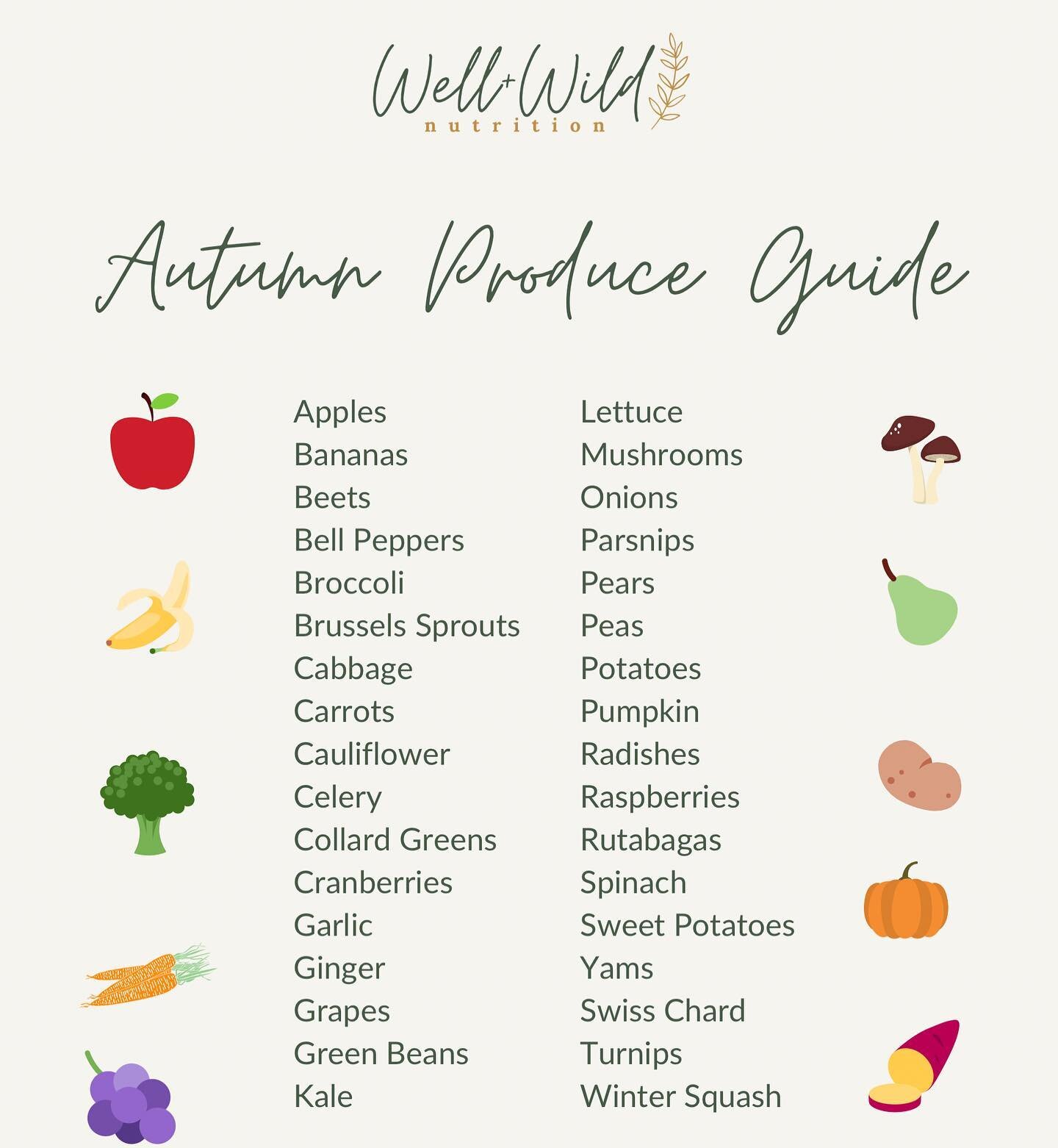 I was in a rut making a grocery list and wanted to re-share this as a helpful reminder for anyone else in a rut- here are some seasonal produce items for Autumn! 

Local and seasonal produce is generally more affordable, more accessible, and even mor