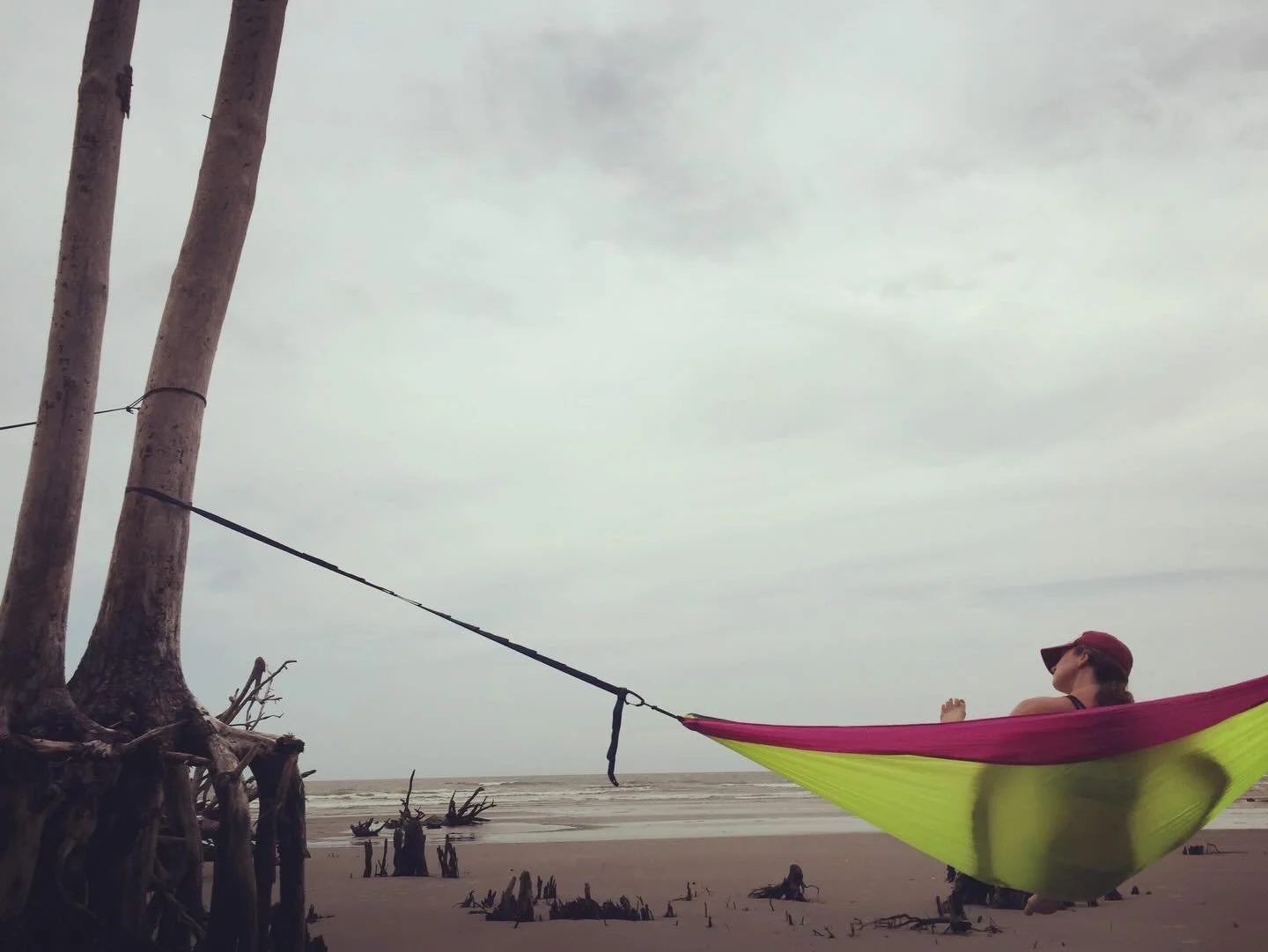 2016 was a God dream