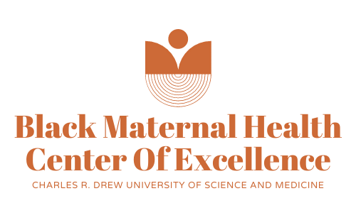 The Black Maternal Health Center of Excellence