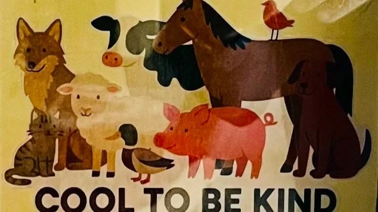 Empathy Kids Library Grand Opening