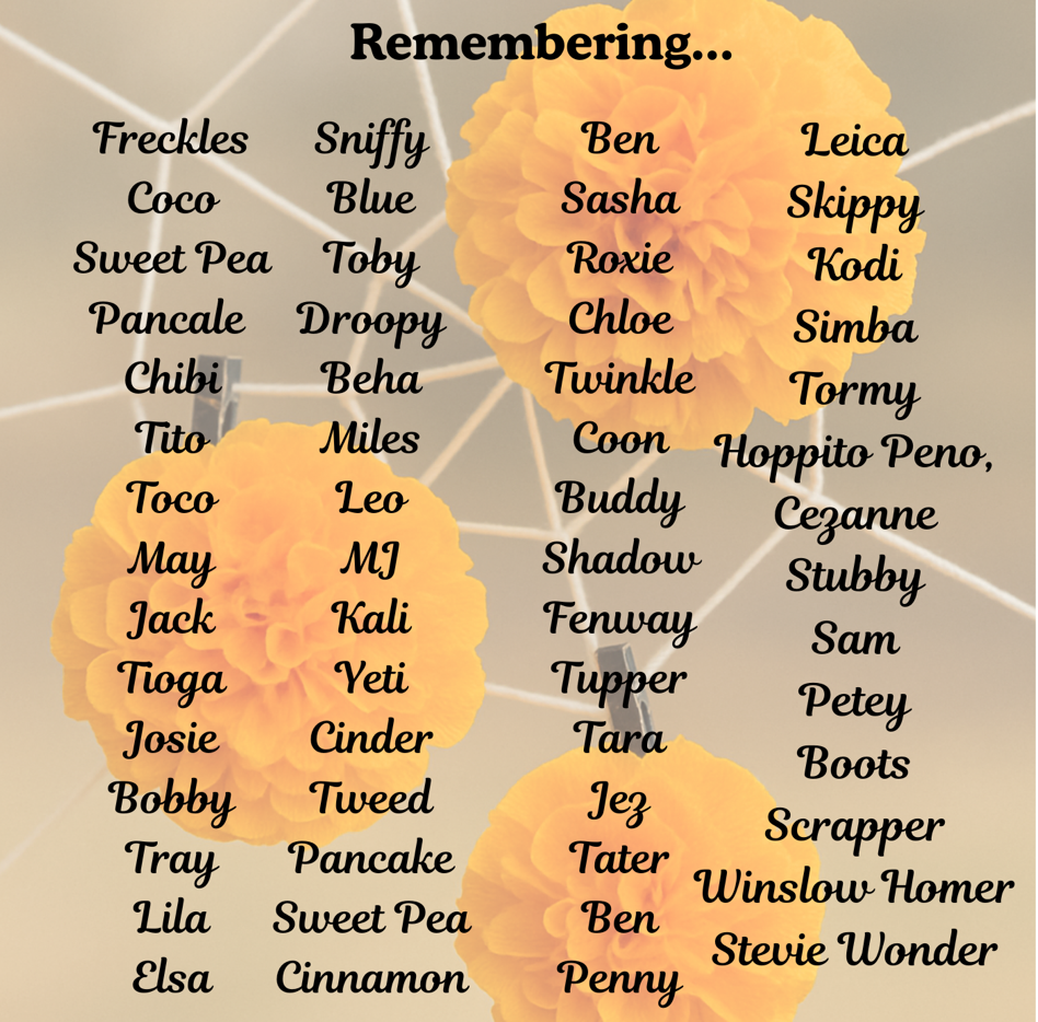 Screenshot 2026-01-06 at 10.59.47 PM.png