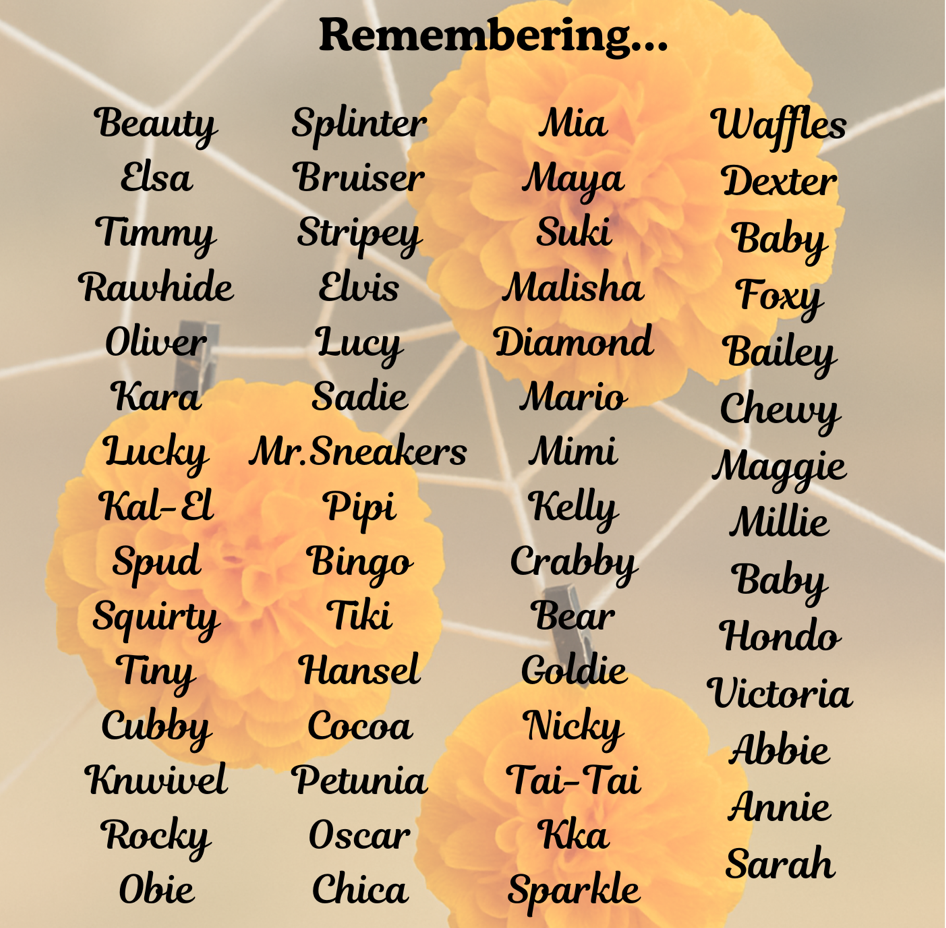 Screenshot 2026-01-06 at 10.59.59 PM.png