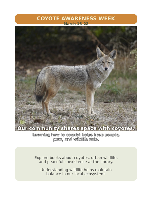 coyote_adult_poster_smaller.png