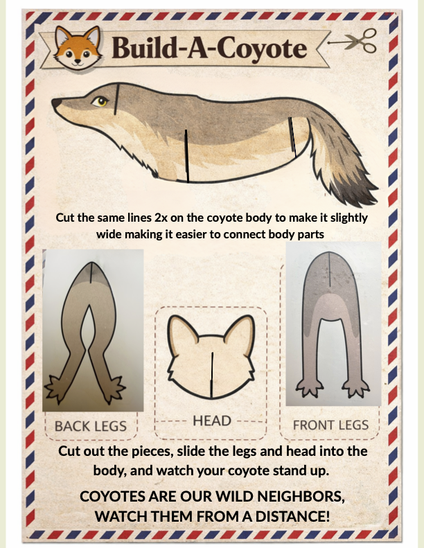 Coyote Week.png