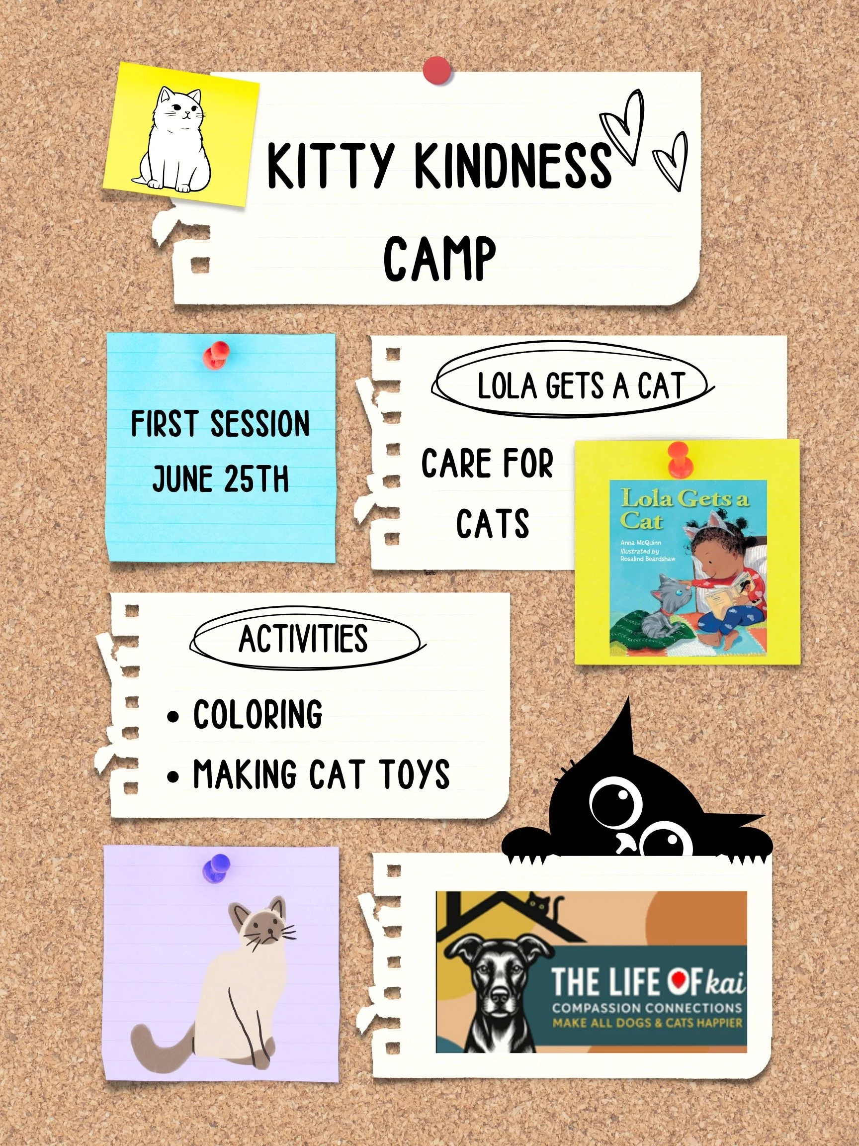 Announcement for our first session for Kitty Kindness camp