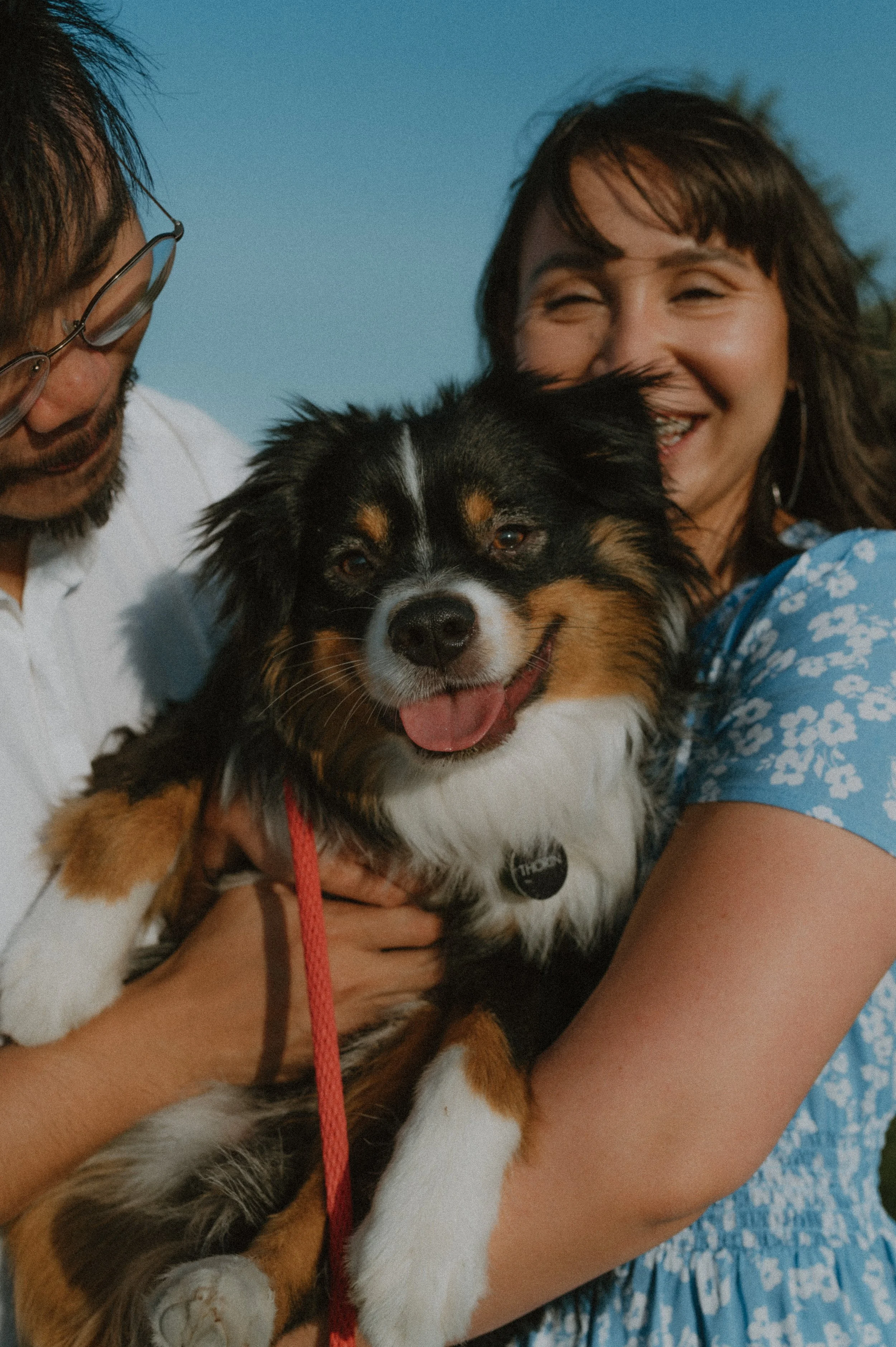 A couple holding a smiling Australian Shepherd dog outdoors under a clear blue sky.