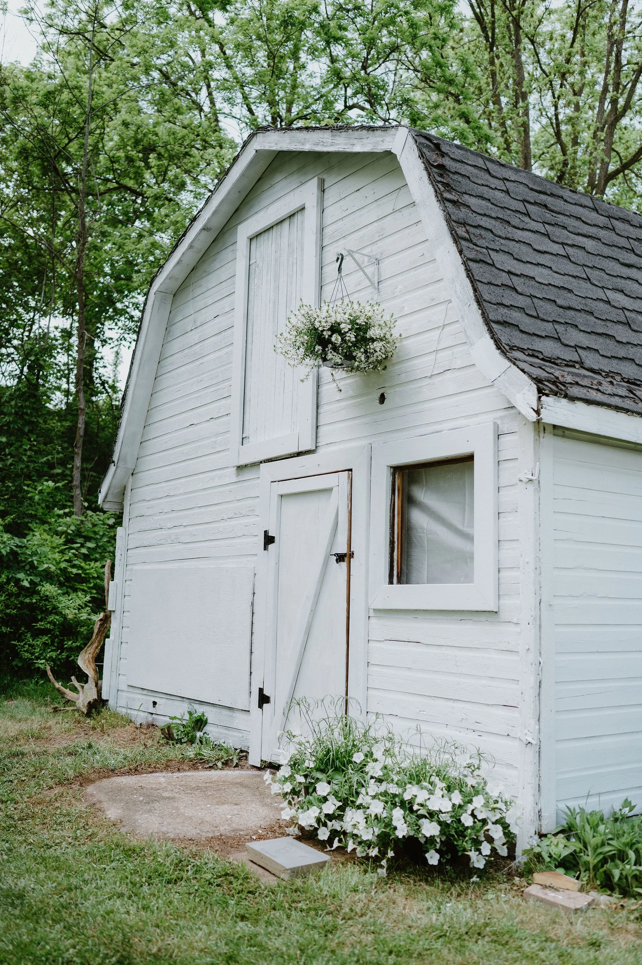 A white wooden shed with a pitched roof, surrounded by green trees and plants. There is a hanging basket of flowers on the shed, and a flower bed with white flowers near the door. The shed has a closed door and a small window with a curtain.