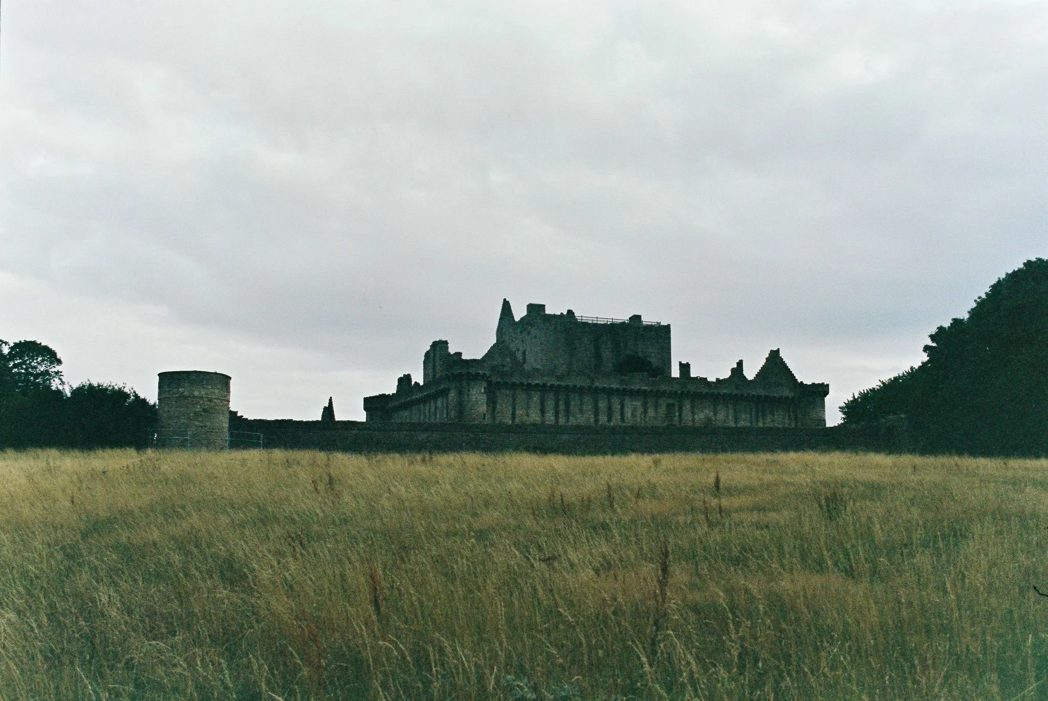 Silhouette of a historic castle with towers and walls, set on a hill, surrounded by tall grass, under a cloudy sky.