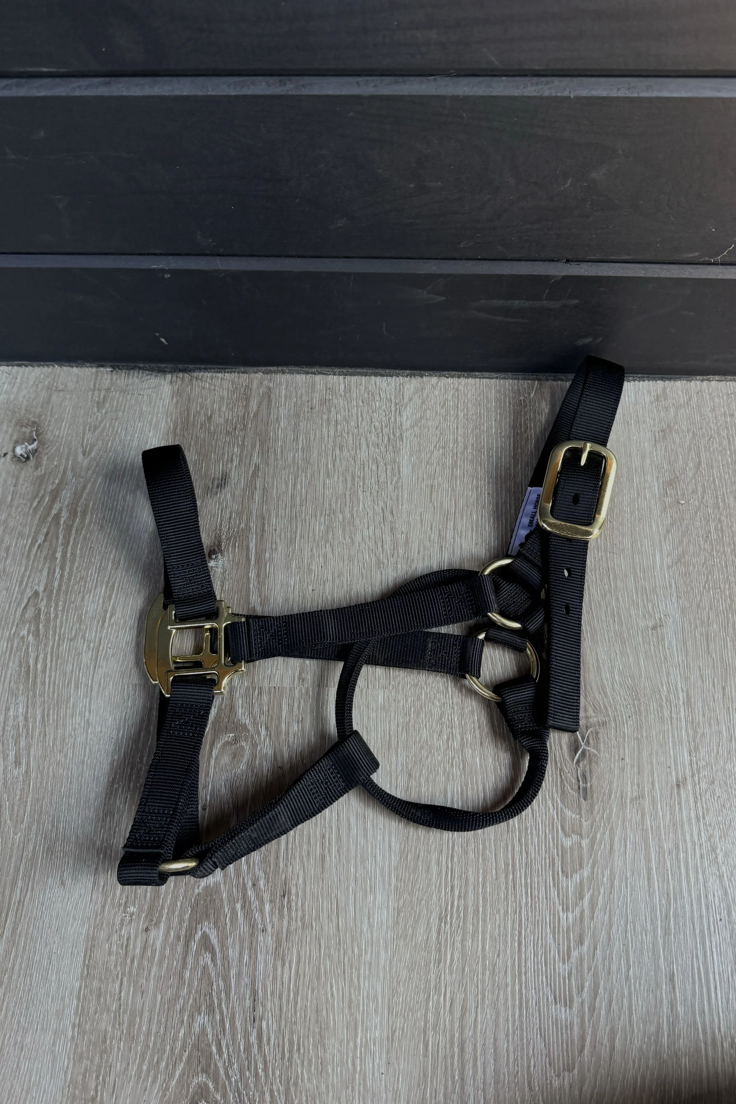 small horse halter .jpg