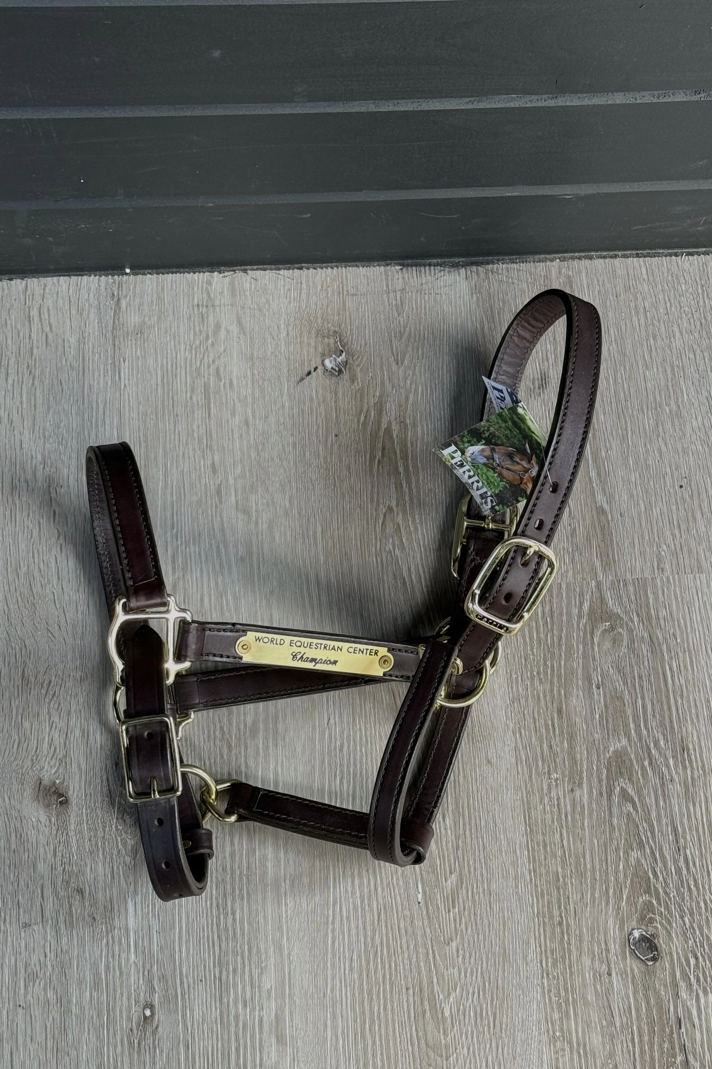 Perri's 1" Turnout Halter In Havana -Horse
