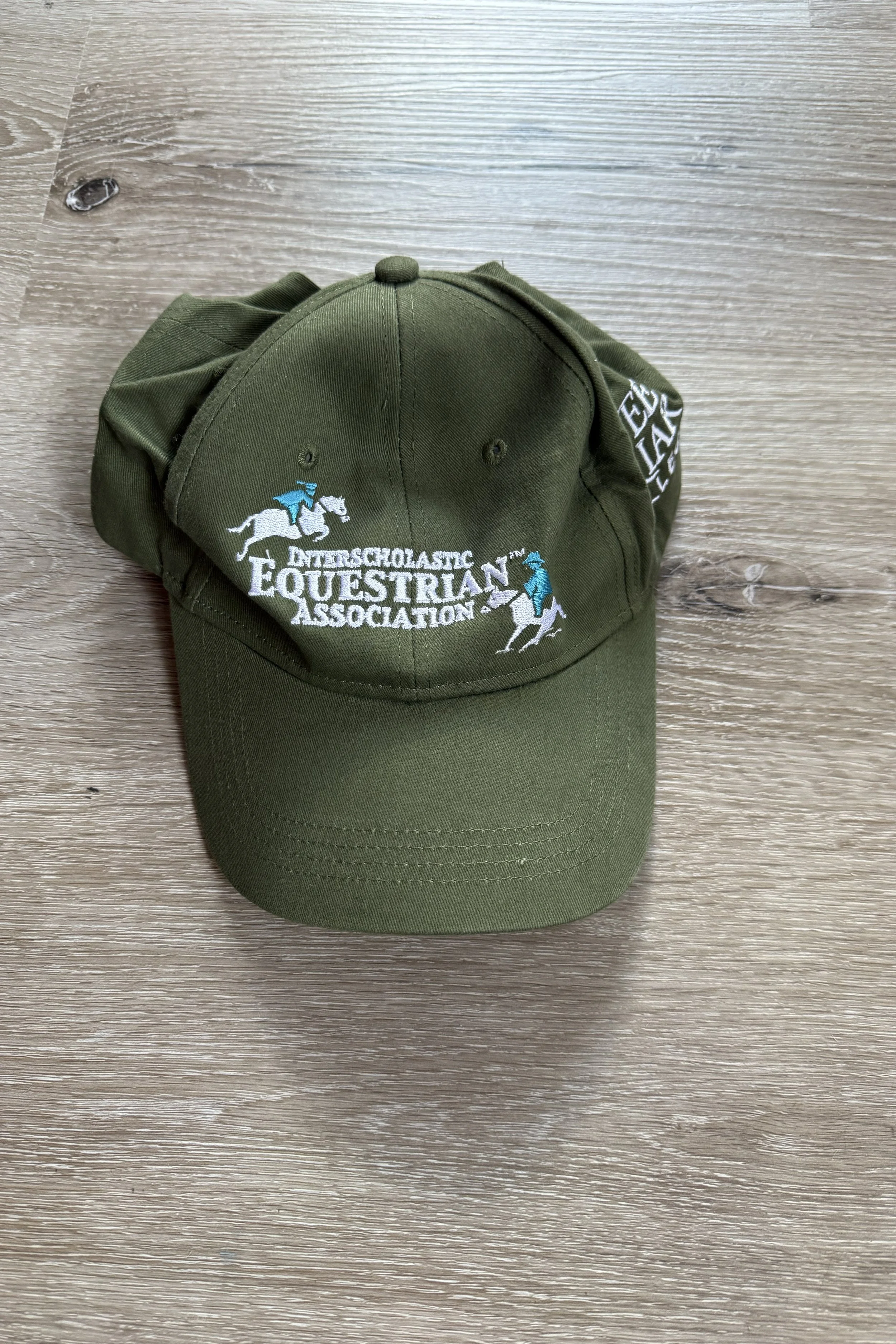IEA hat.jpg