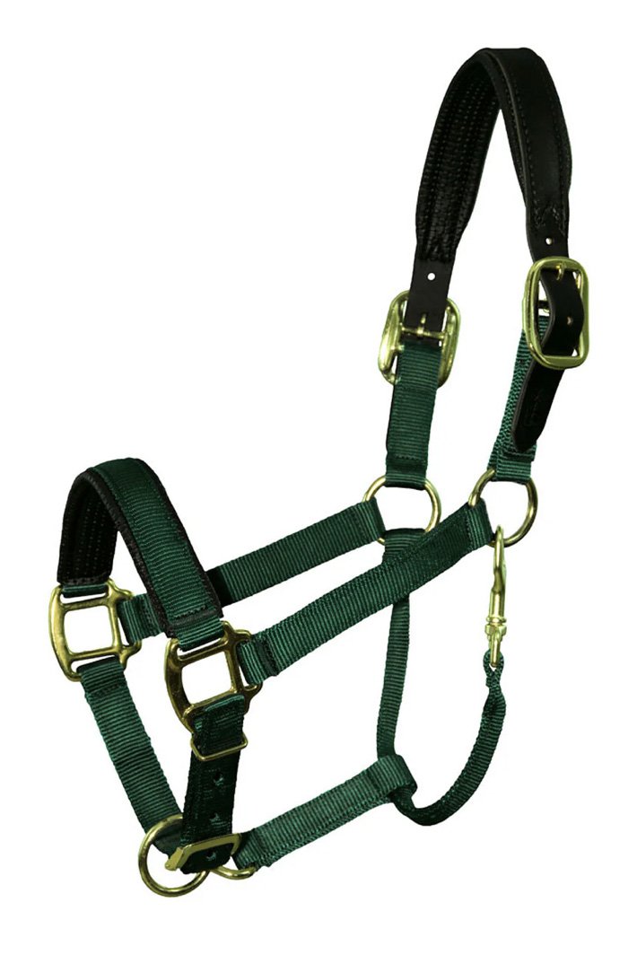 Premium Nylon Breakaway Halter W/Padded Crown/Nose In Hunter Green