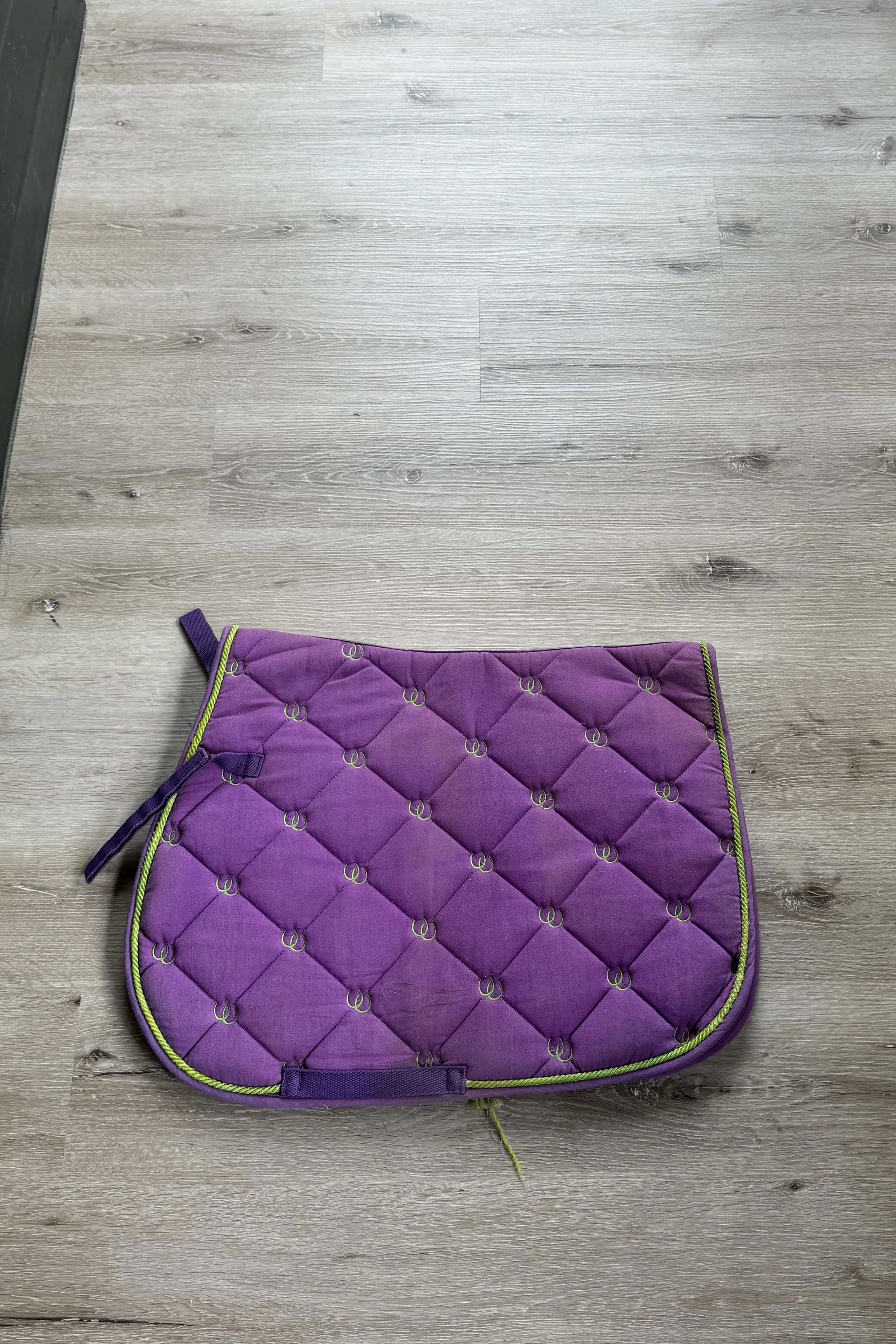 purple & green 2 .jpg
