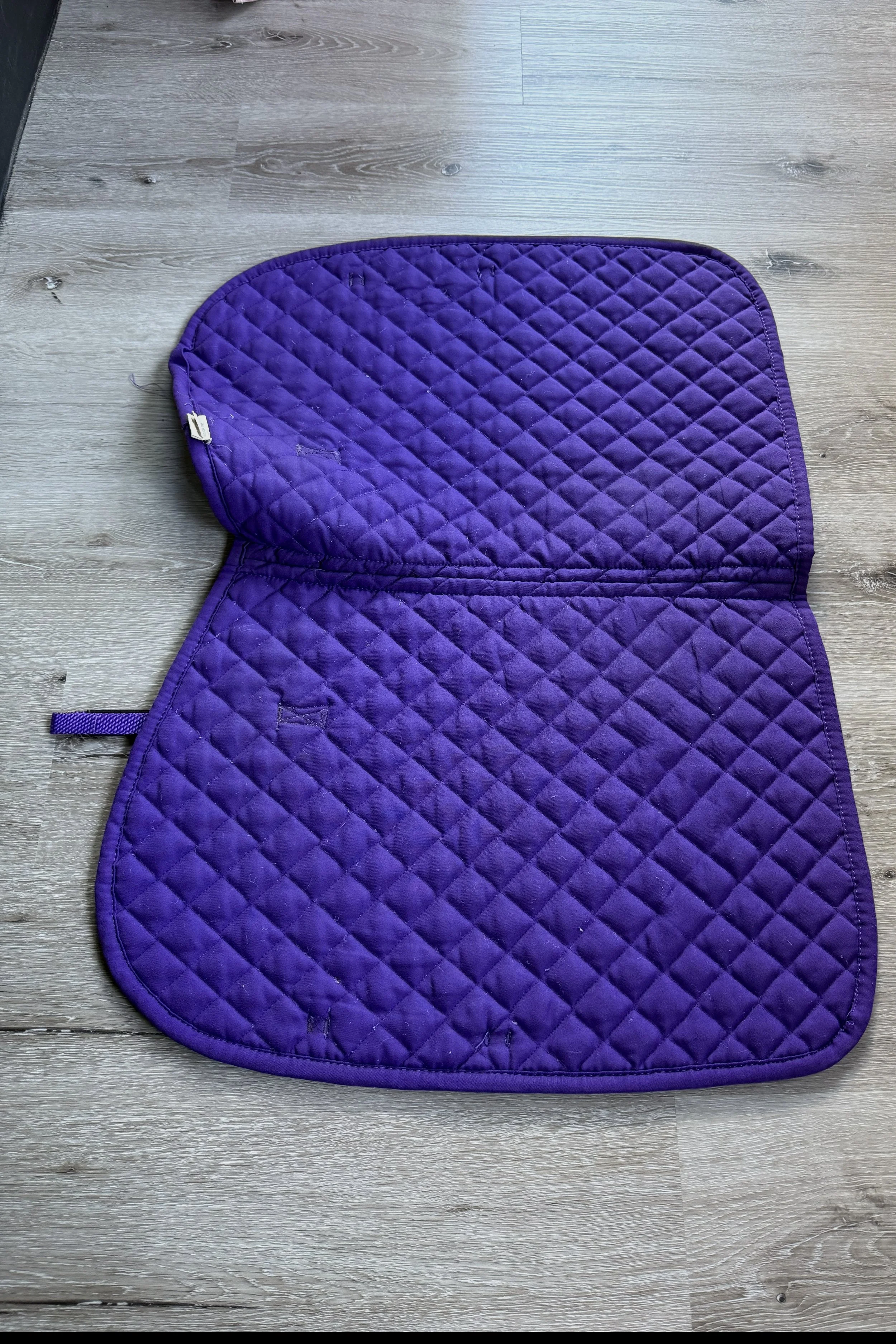 purple 2.jpg