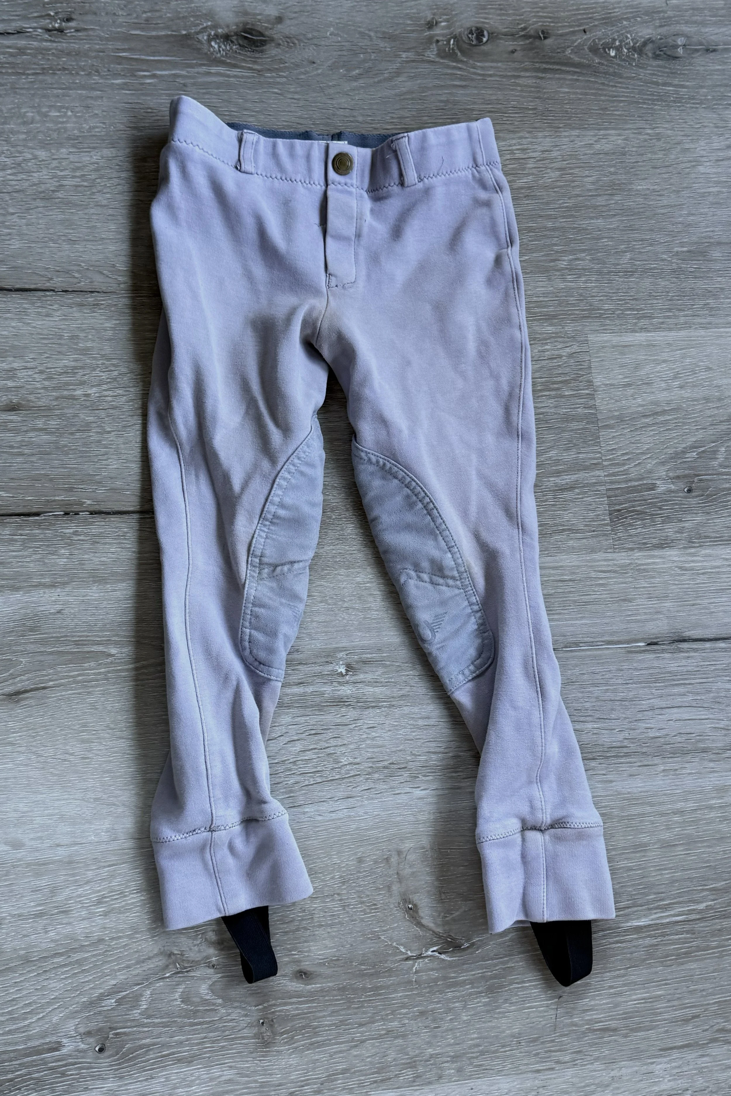 lilac 1.jpg