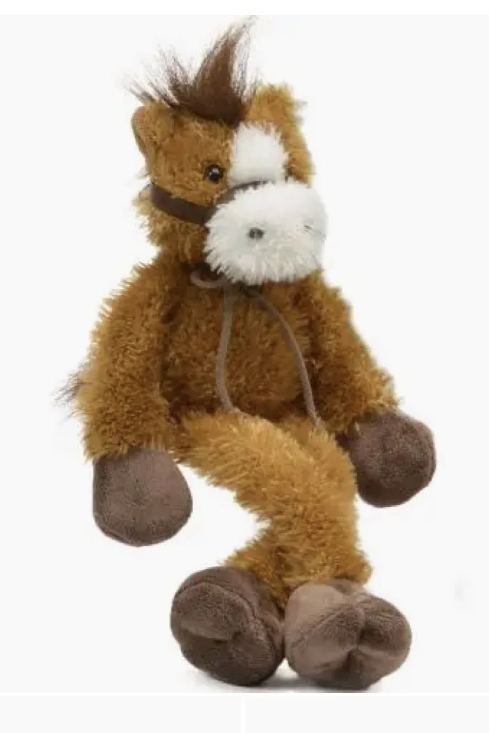 horse-1.jpg