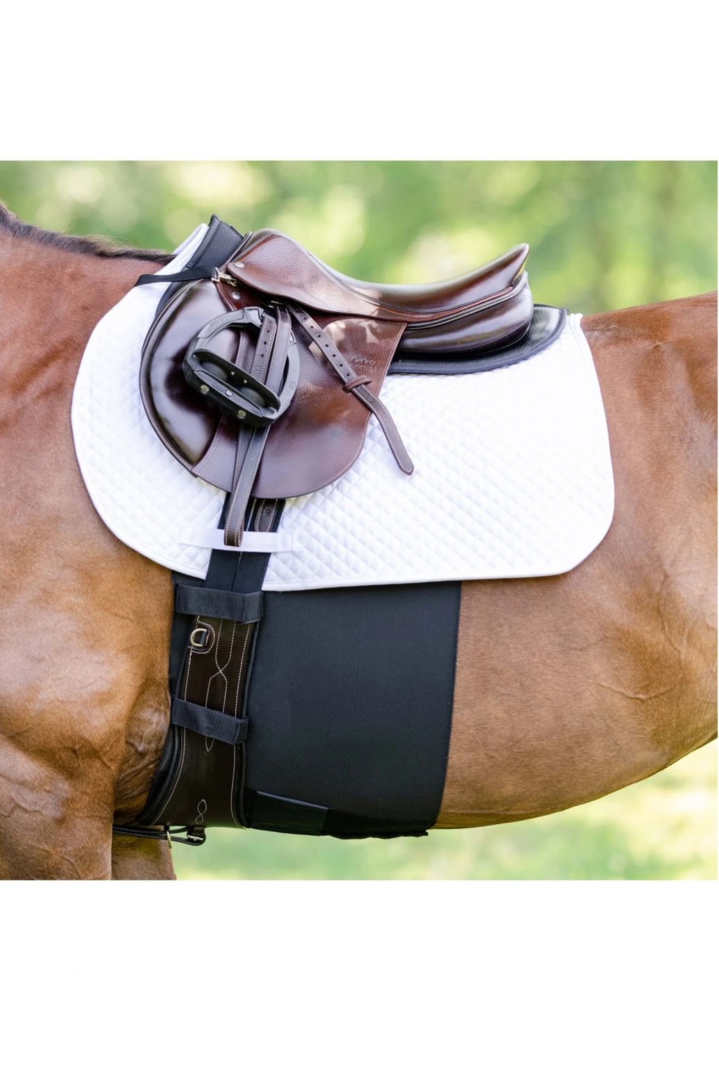EquiFit BellyBand+™ In Black - 2nd Round Equestrian