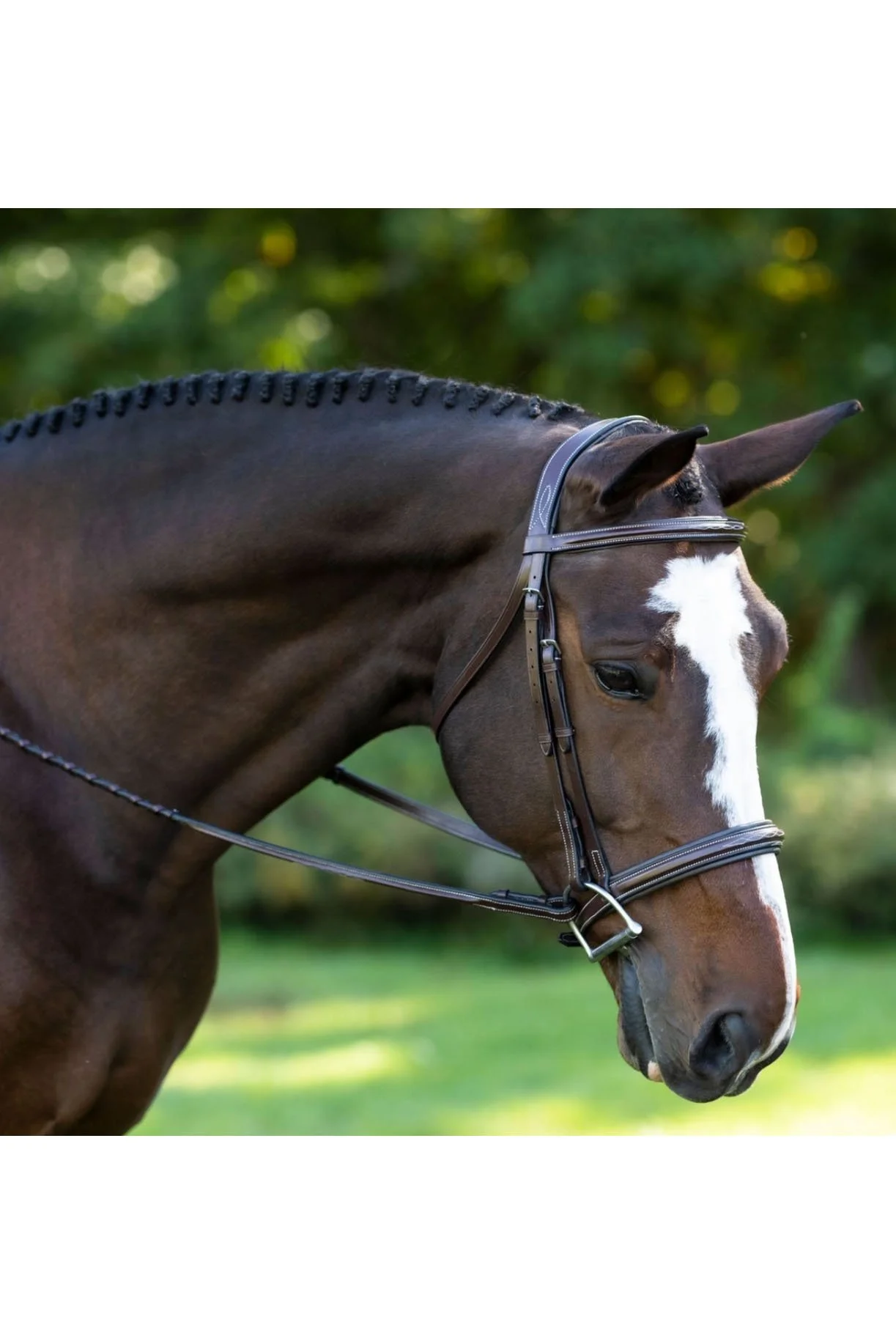 KL Select Black Oak Laurel Bridle In Brown - 2nd Round Equestrian