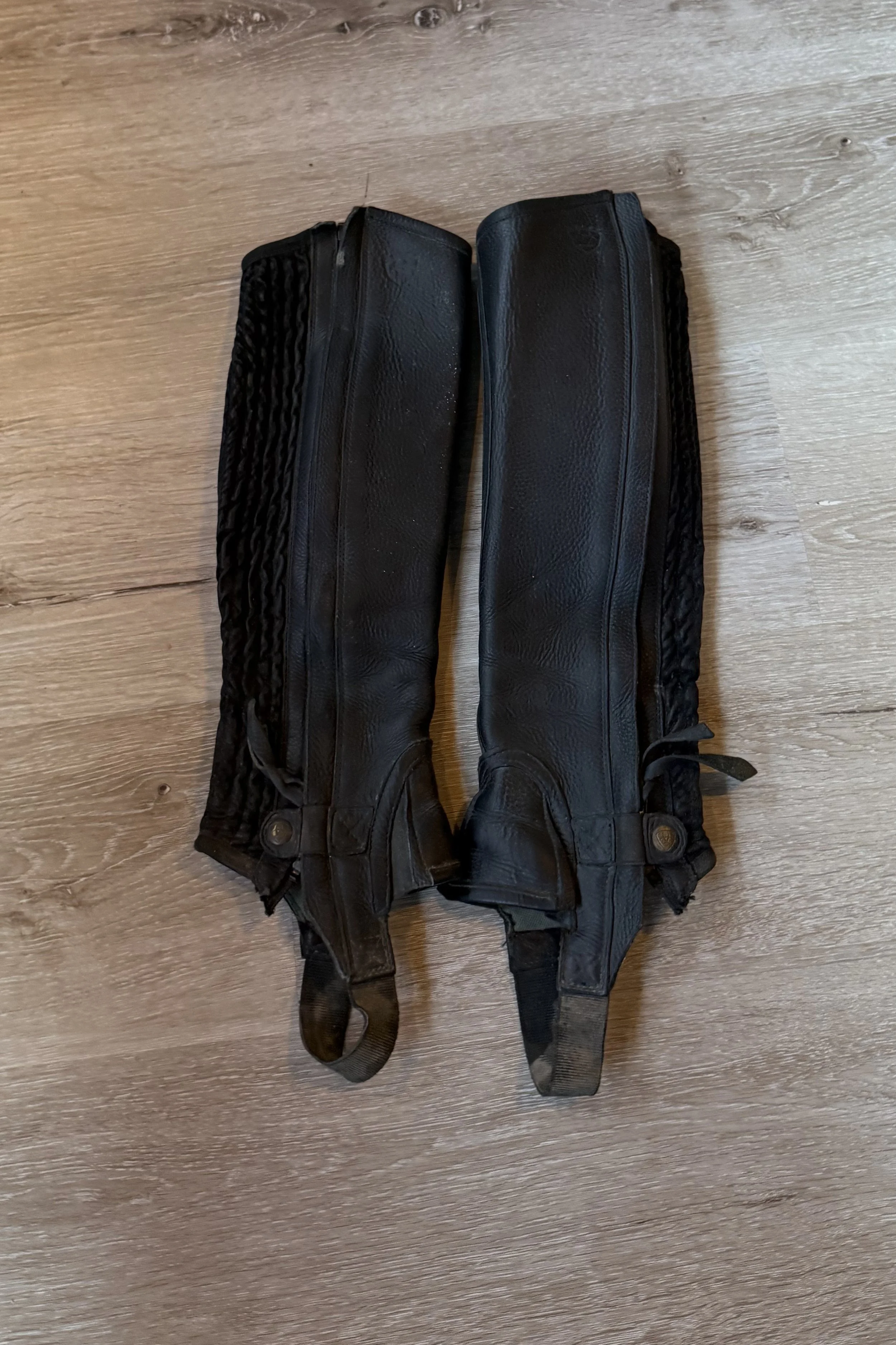 half chaps 2 .jpg