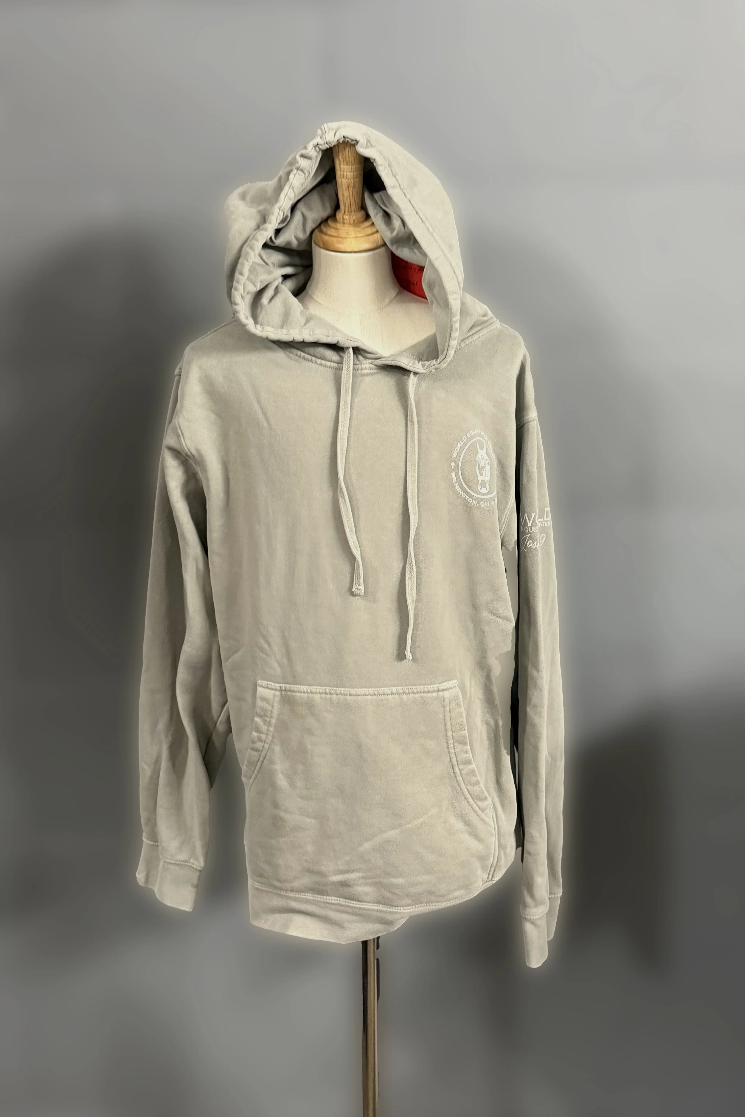 WEC Fleece Sweatshirt With Hood In Sage - XS
