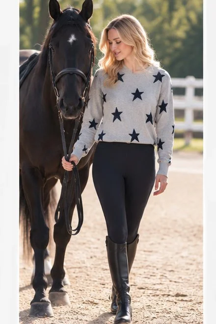 J Society Star Crew Neck Sweater In Silver