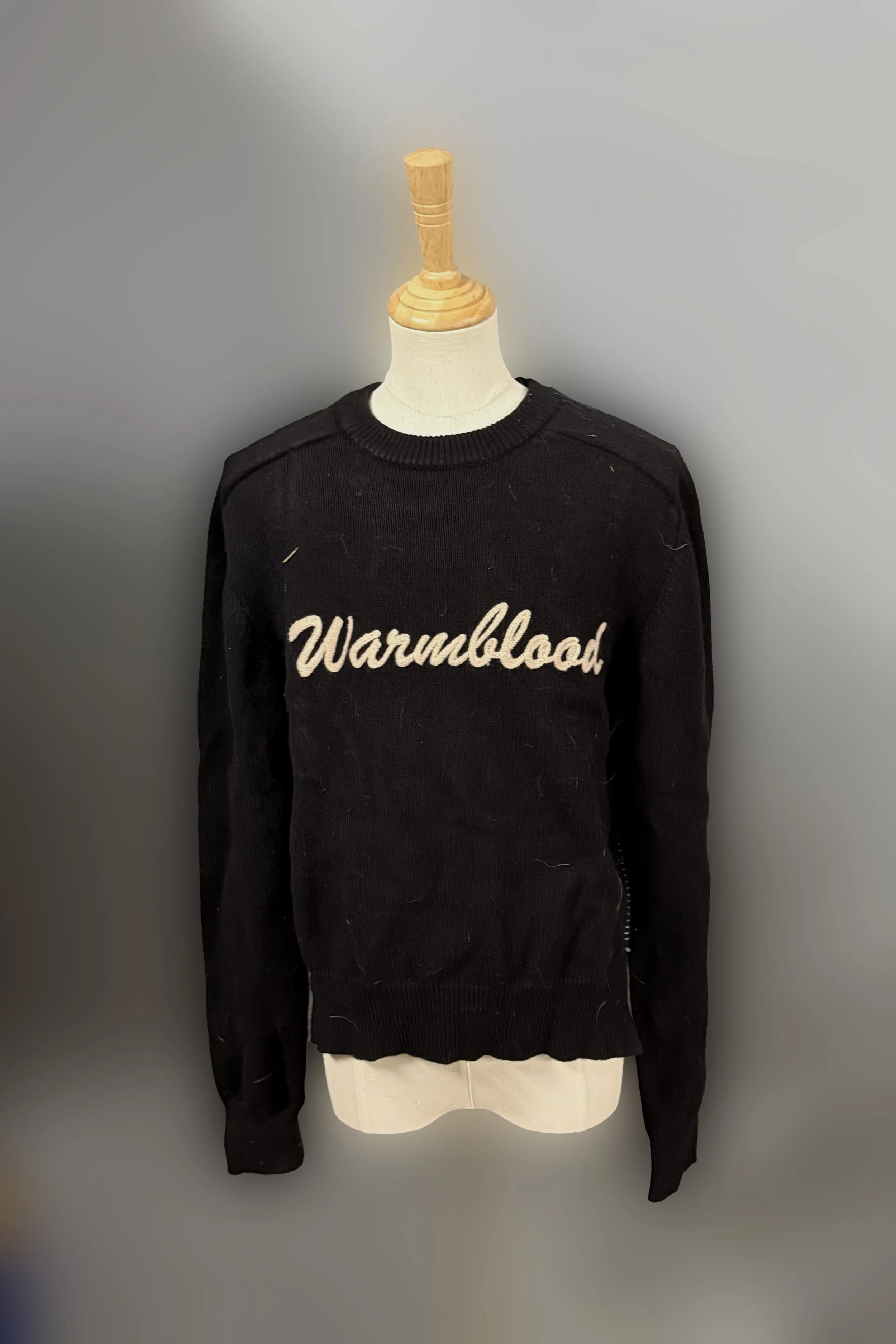 warmblood 1 .jpg