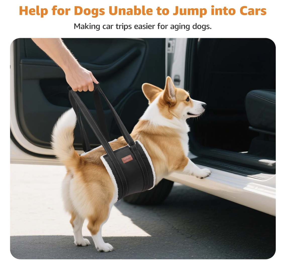 LOOBANI Portable Dog Sling for Back Legs and Hip Support Size Large
