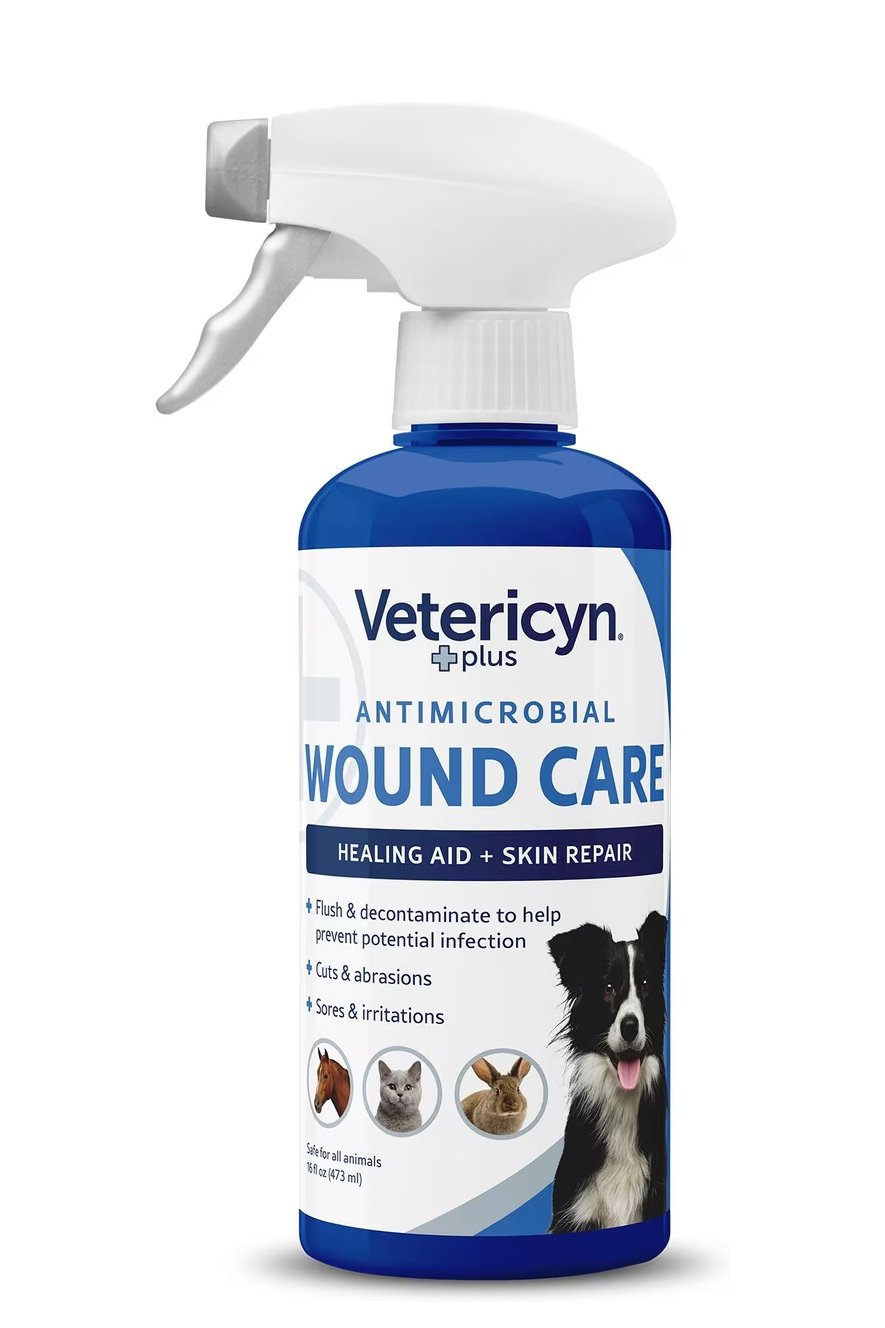 wound 3.jpg