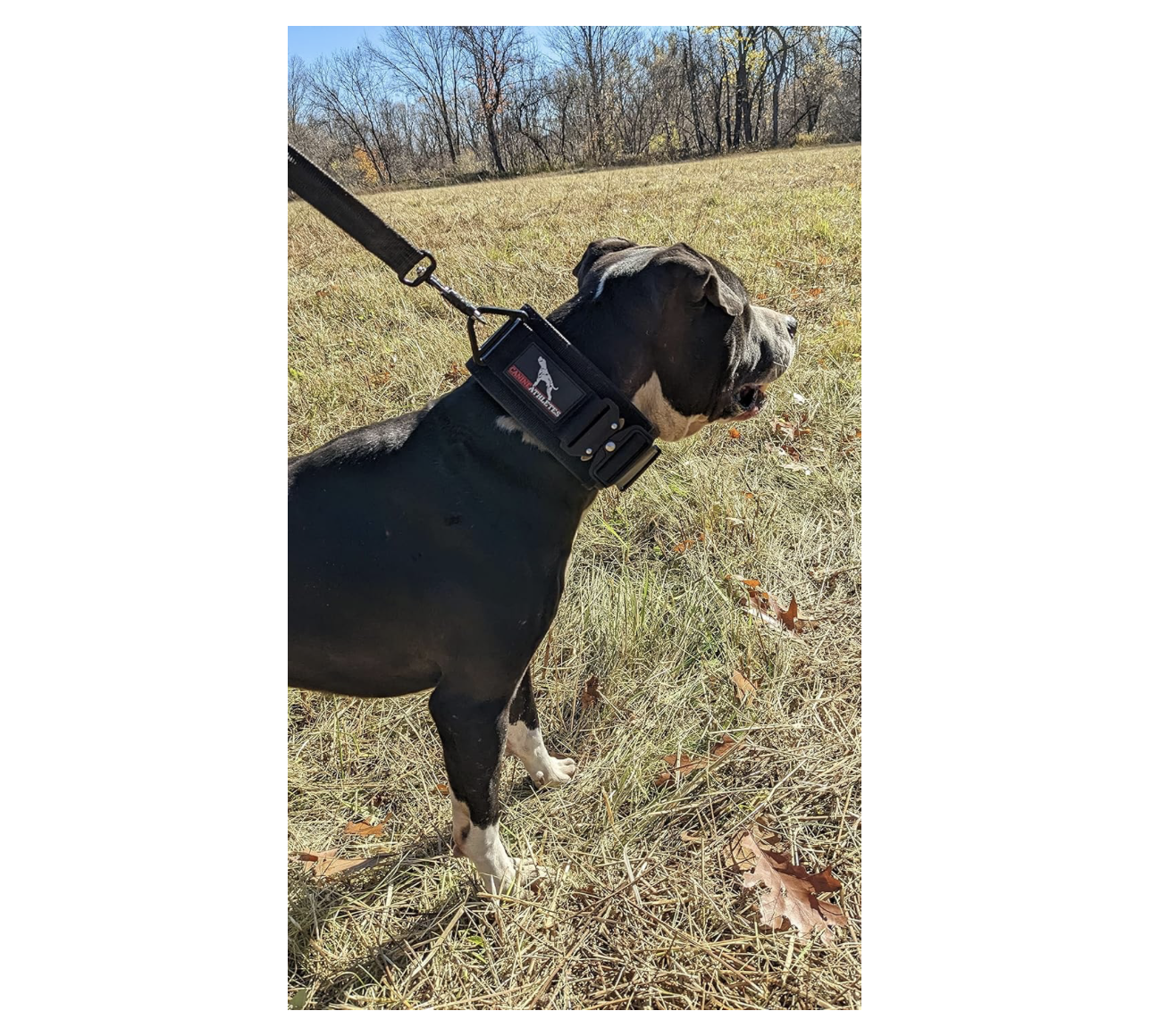 Screenshot 2026-04-02 at 8.14.28 PM.png