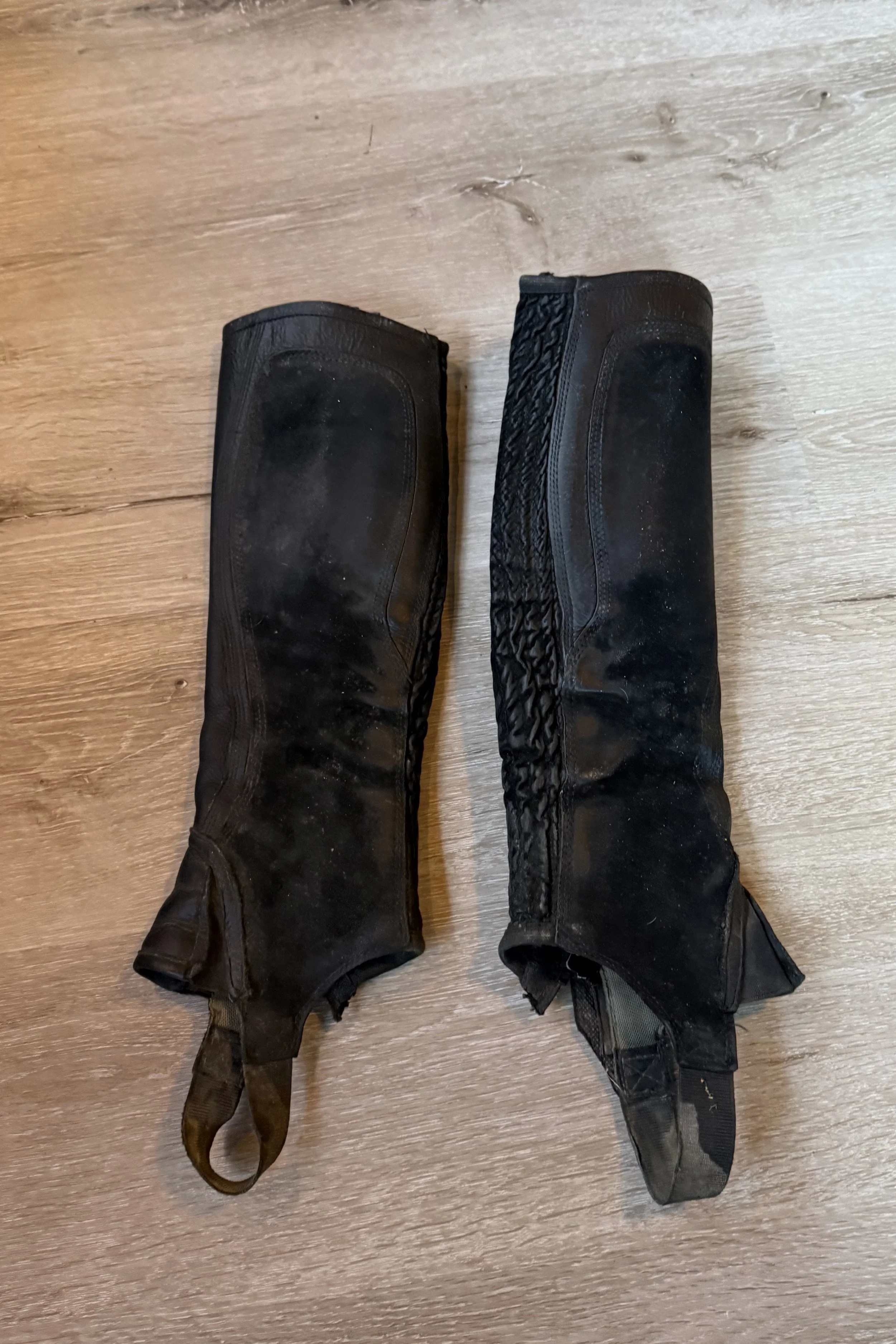 half chaps 1.jpg