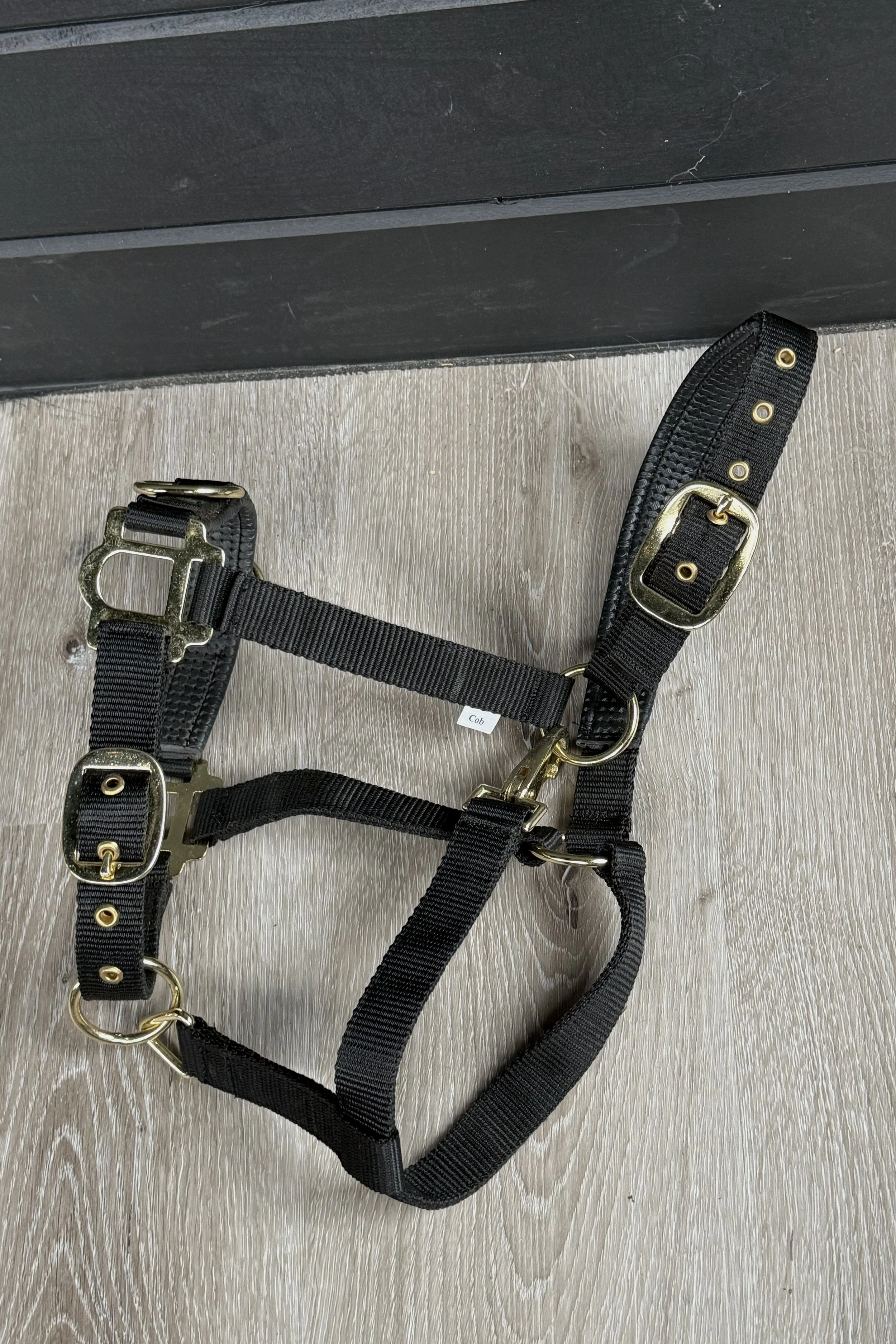 nylon halter .jpg