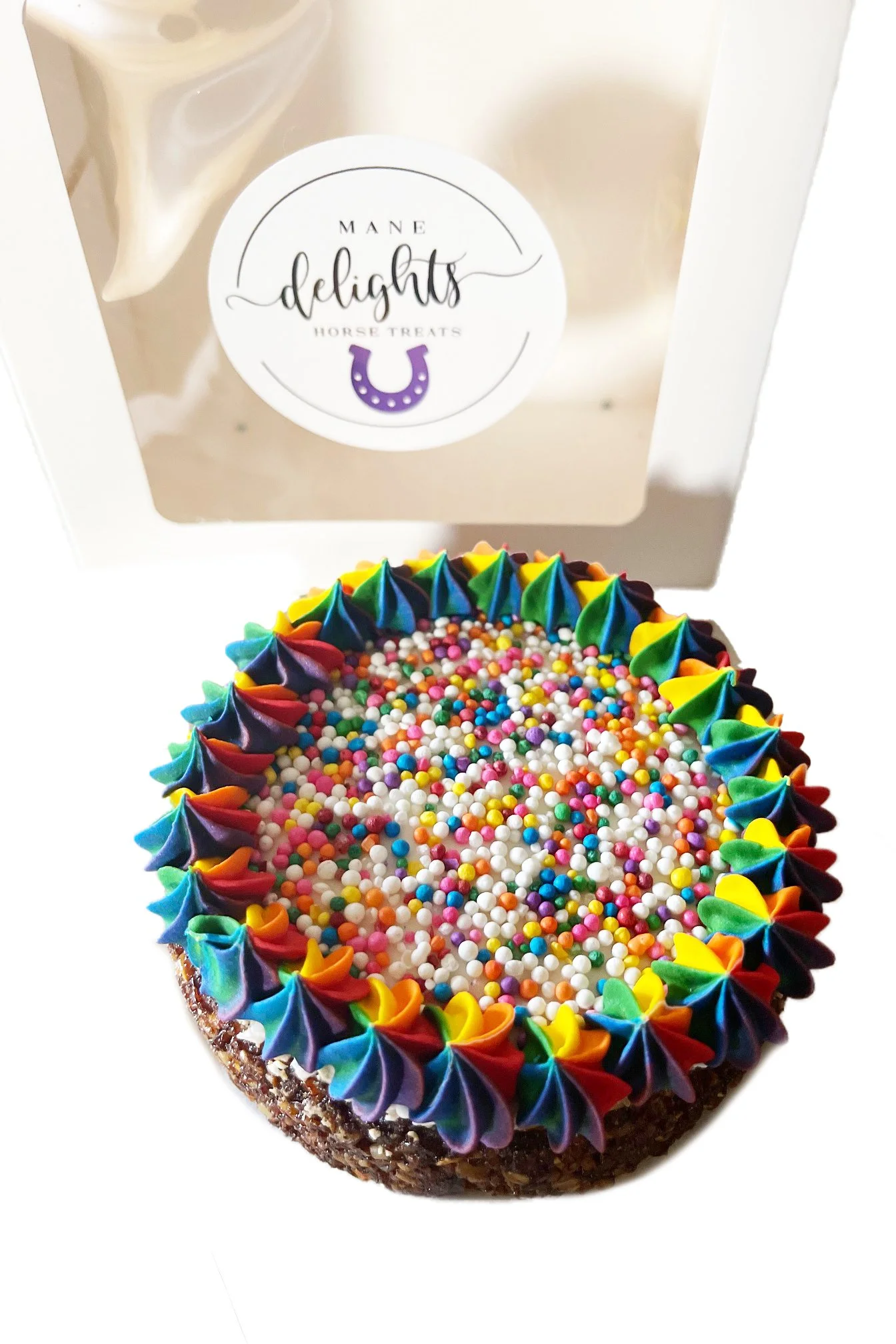 Store 2 — 2nd Round Equestrian