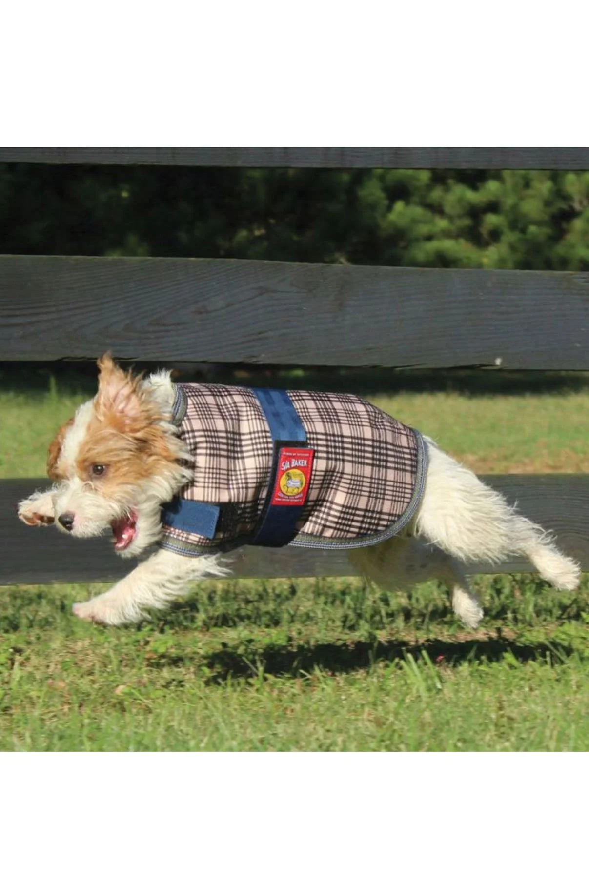 Baker® 5/A Dog Blanket In Tan Plaid - 2nd Round Equestrian