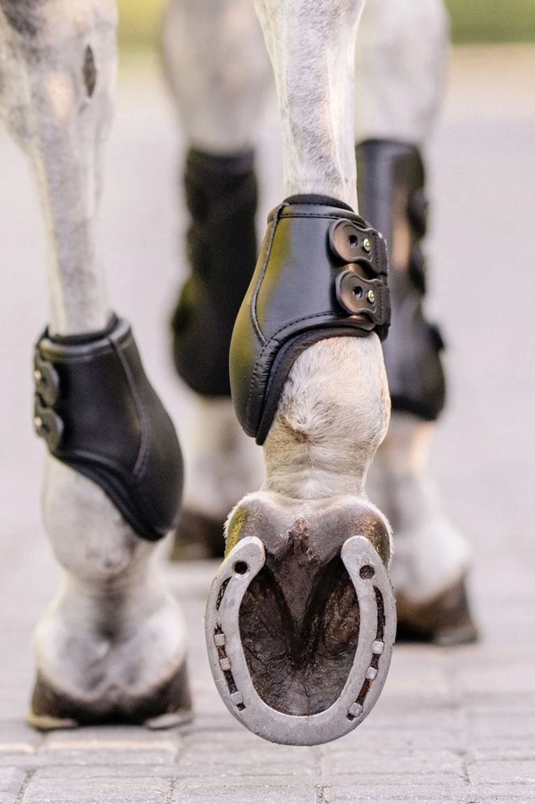EquiFit Pony Medal Hind Boot W/IMPACTEQ In Black - 2nd Round Equestrian