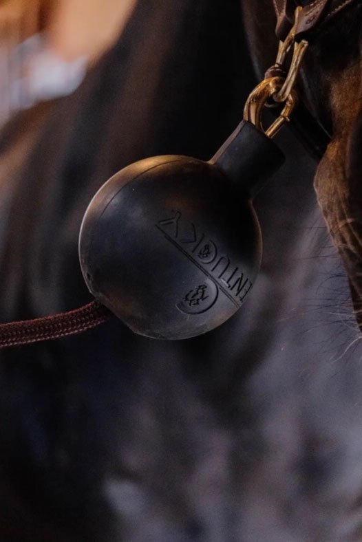 Kentucky Horsewear Rubber Ball Protection Wall & Lead In Black - 2nd Round Equestrian