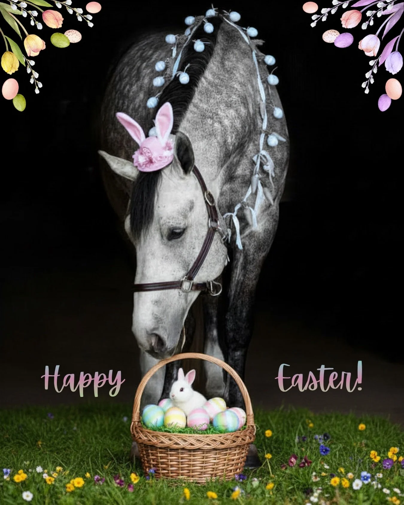 Happy Easter from all of us at 2nd Round Equestrian! 🐣🌸🐰

We&rsquo;re so grateful for our amazing community and all the riders and horse lovers who make this so special. Wishing you a beautiful day filled with joy, fresh beginnings, and a little e