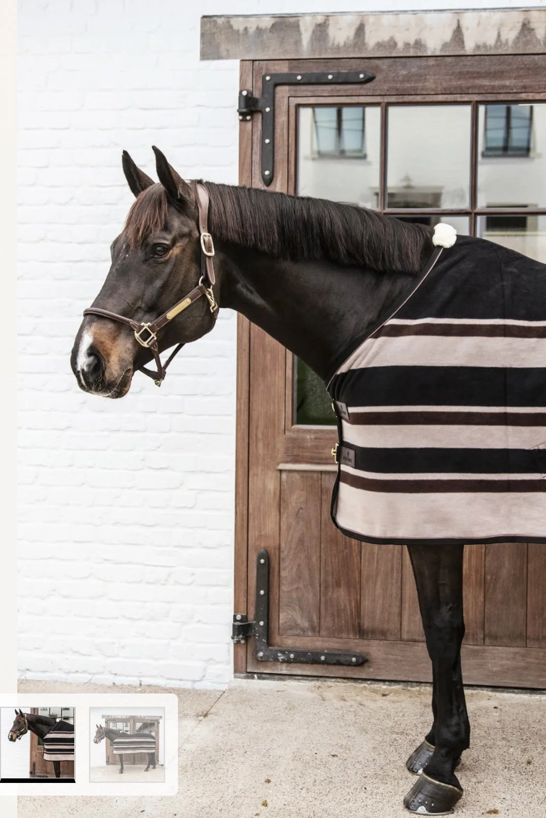 stripe-4.jpg