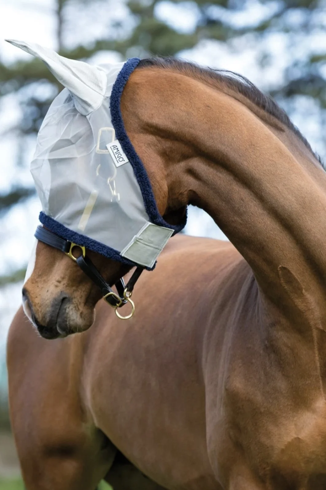 mask.jpg