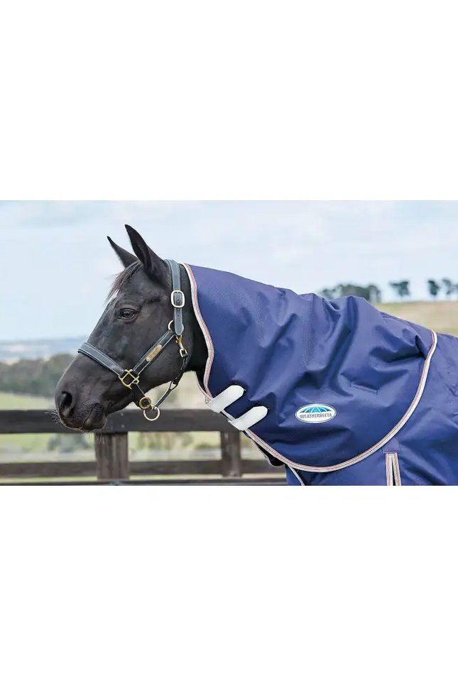1003598000-NAVYSILVERRED_WB-CFT-Essential-Neck-Rug_Image_Hero_Null.jpg