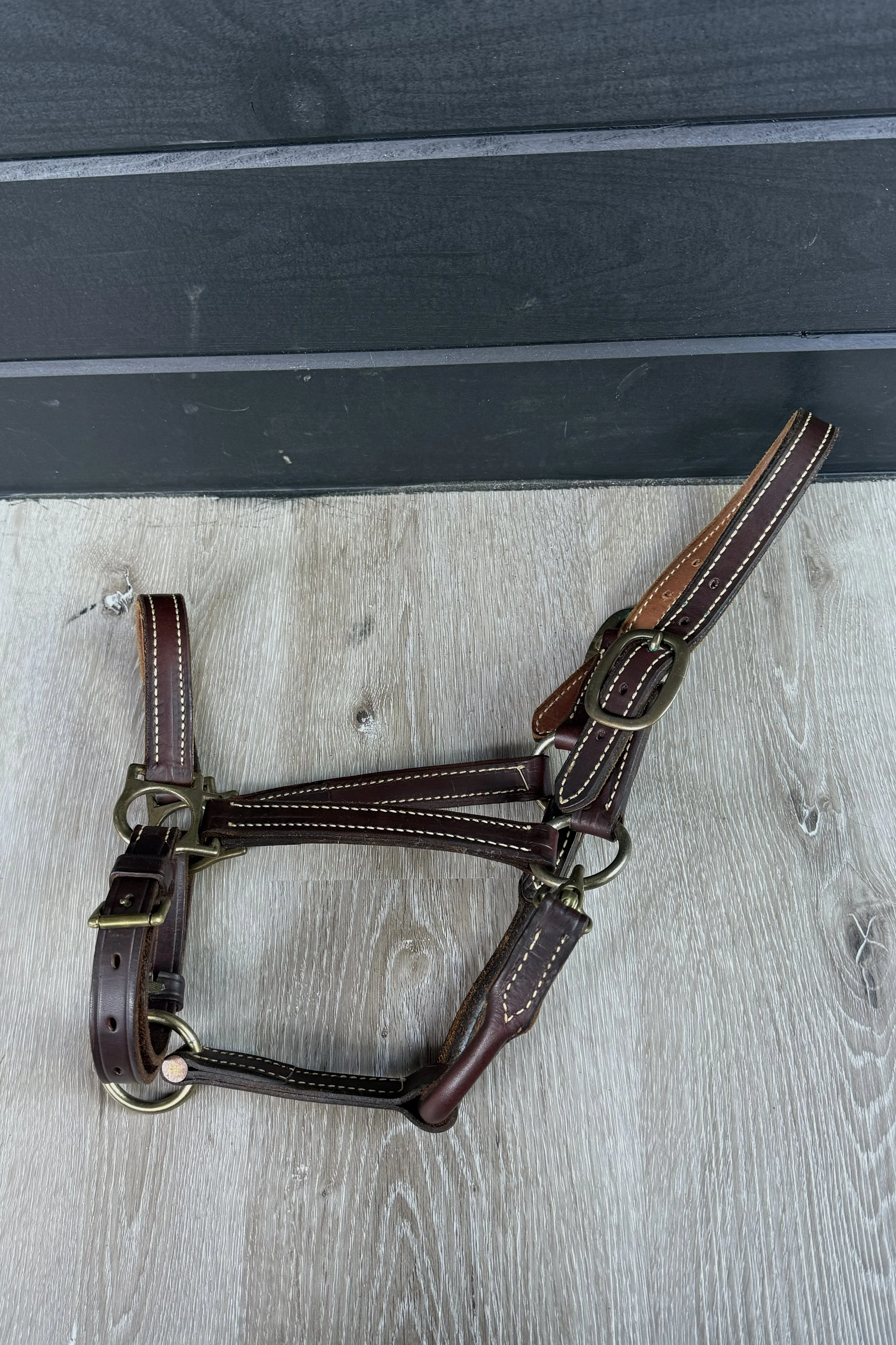 Double Stitched Leather Halter In Brown - Cob