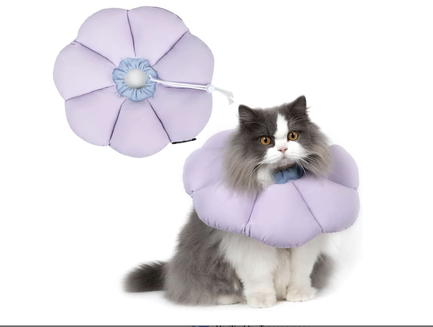 Screenshot 2026-04-02 at 6.54.26 PM.png