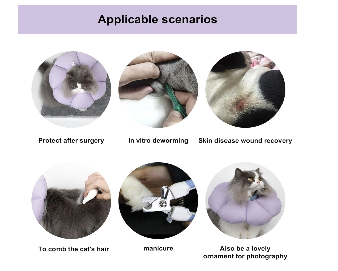 Screenshot 2026-04-02 at 6.55.14 PM.png