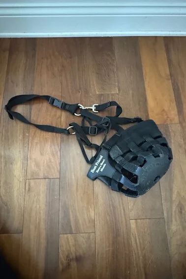 Best Friend Have-A-Heart Grazing Muzzle In Black - Horse