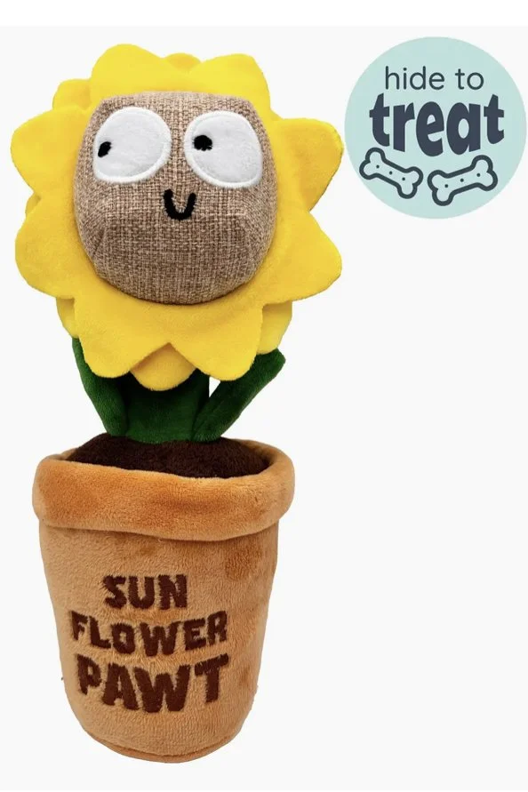 sun-2.jpg