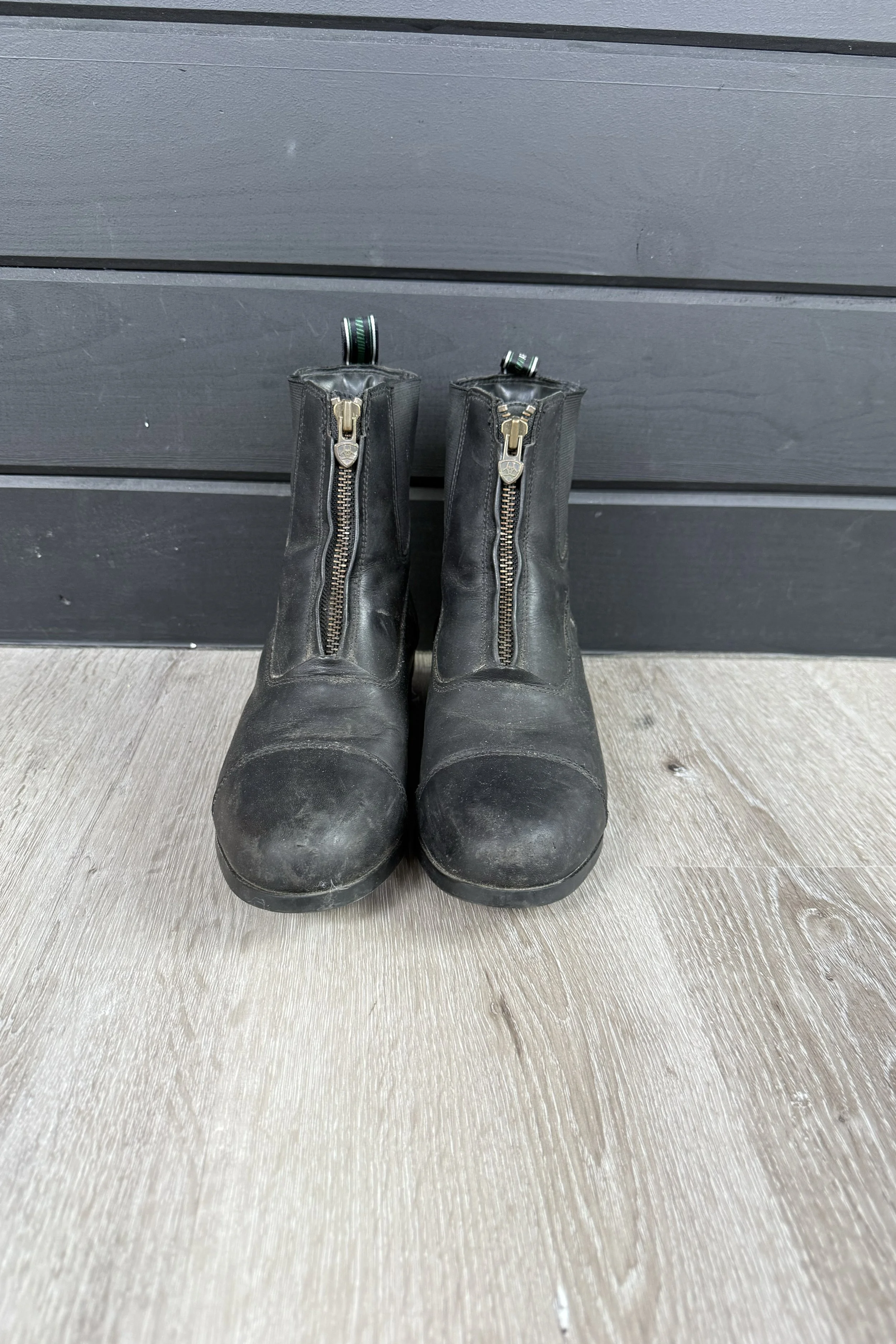 ariat paddock.jpg