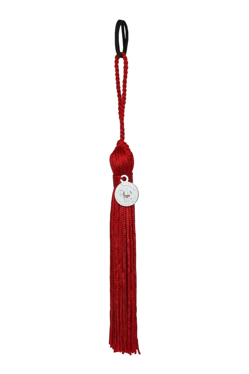 tassel.jpg