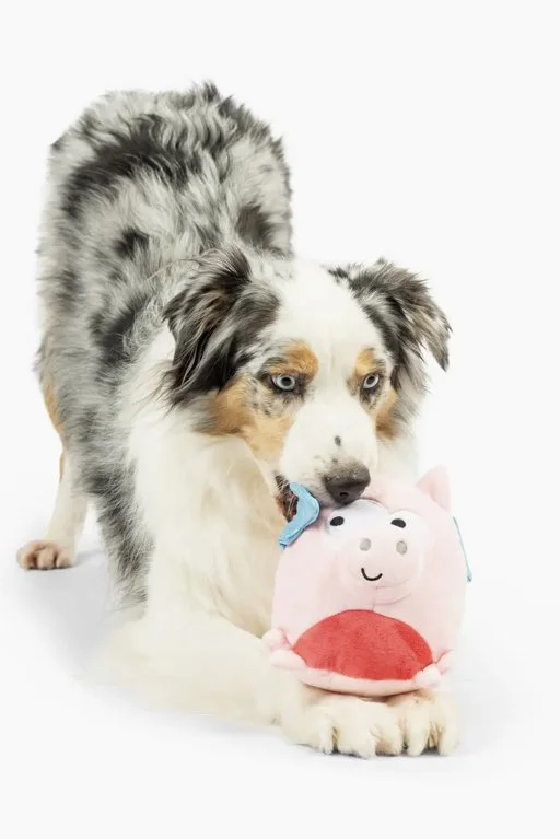 pig-2.jpg