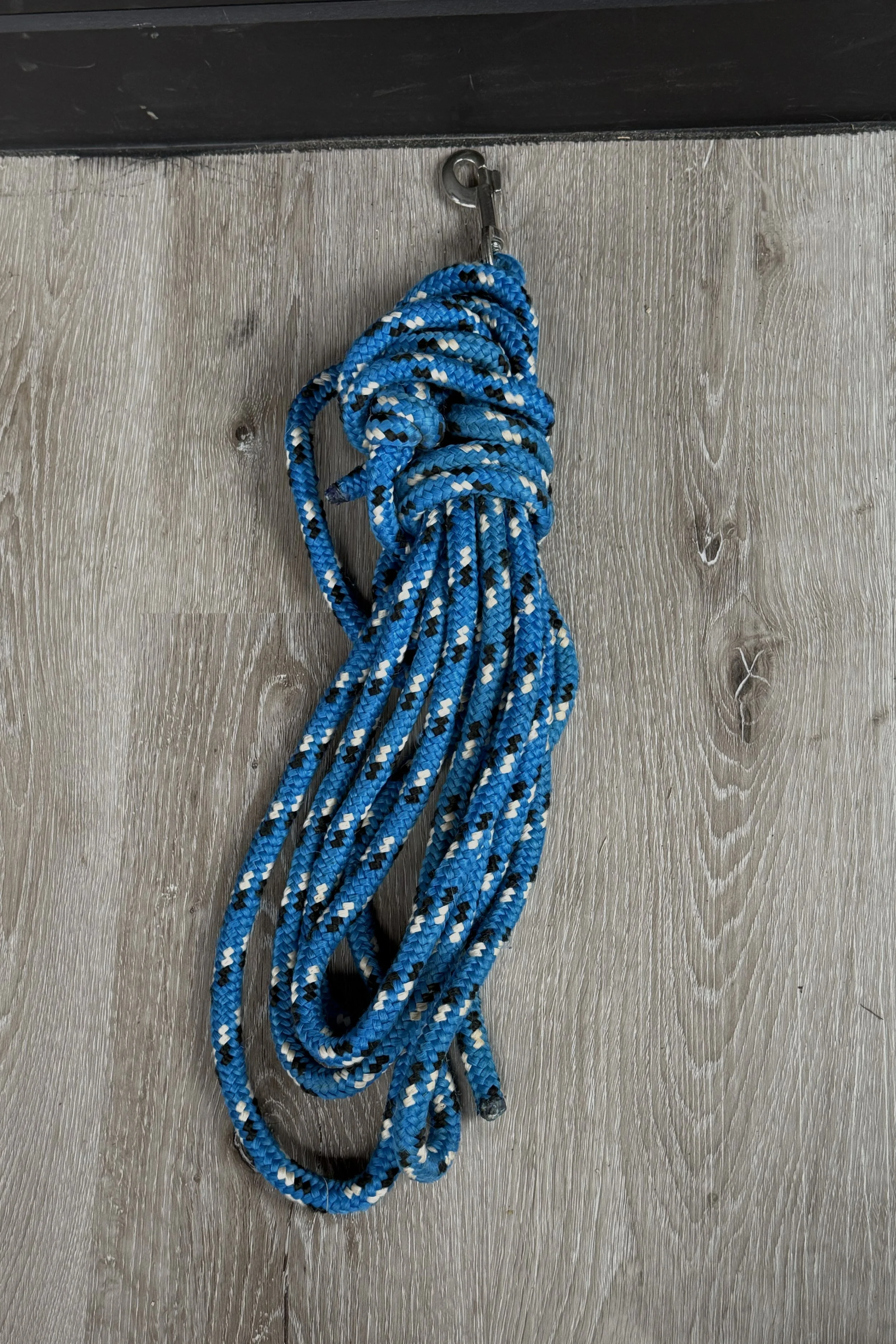 Nylon lunge line .jpg