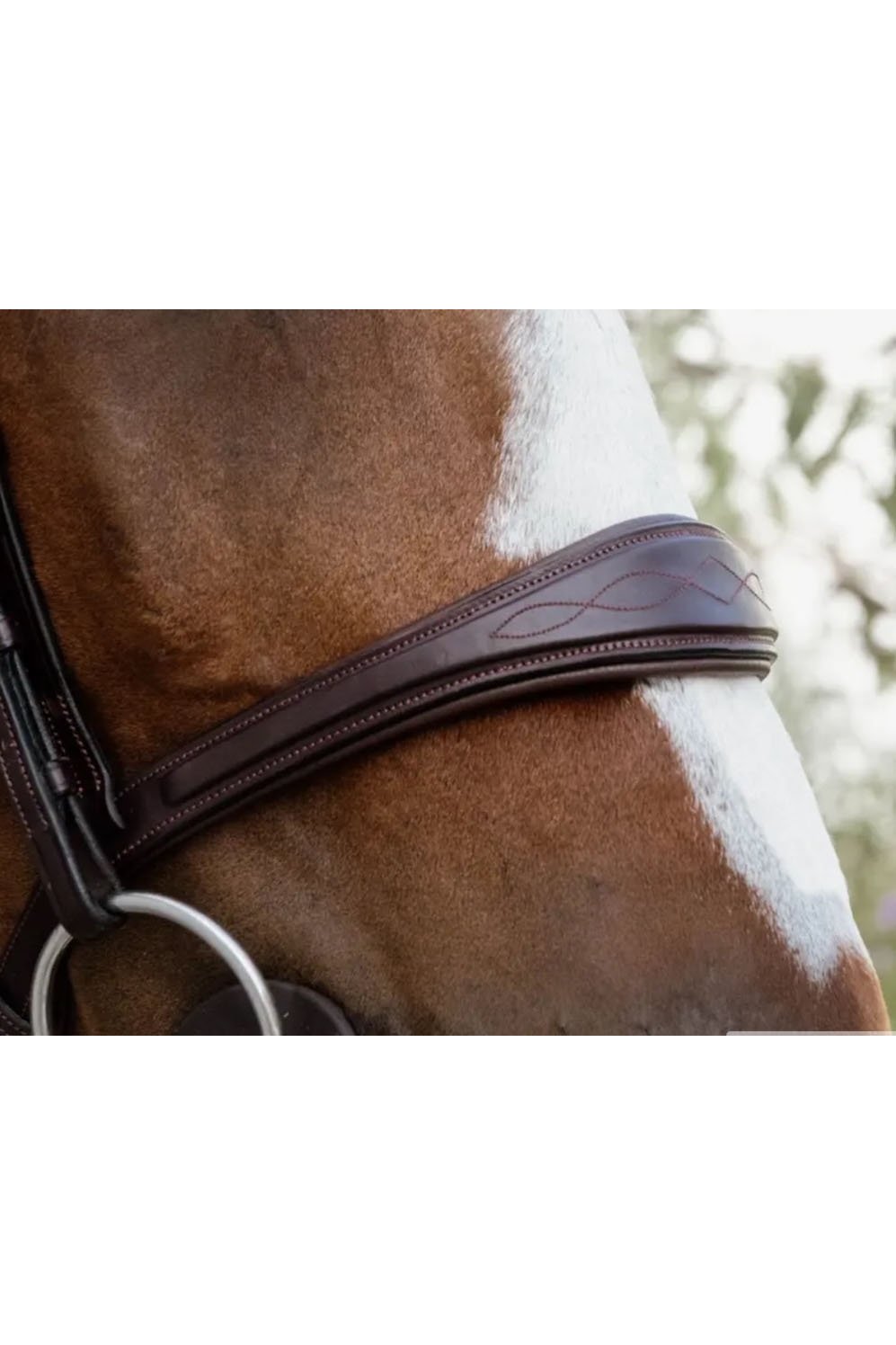Dy'on Anatomic Noseband Without Flash In Brown - 2nd Round Equestrian