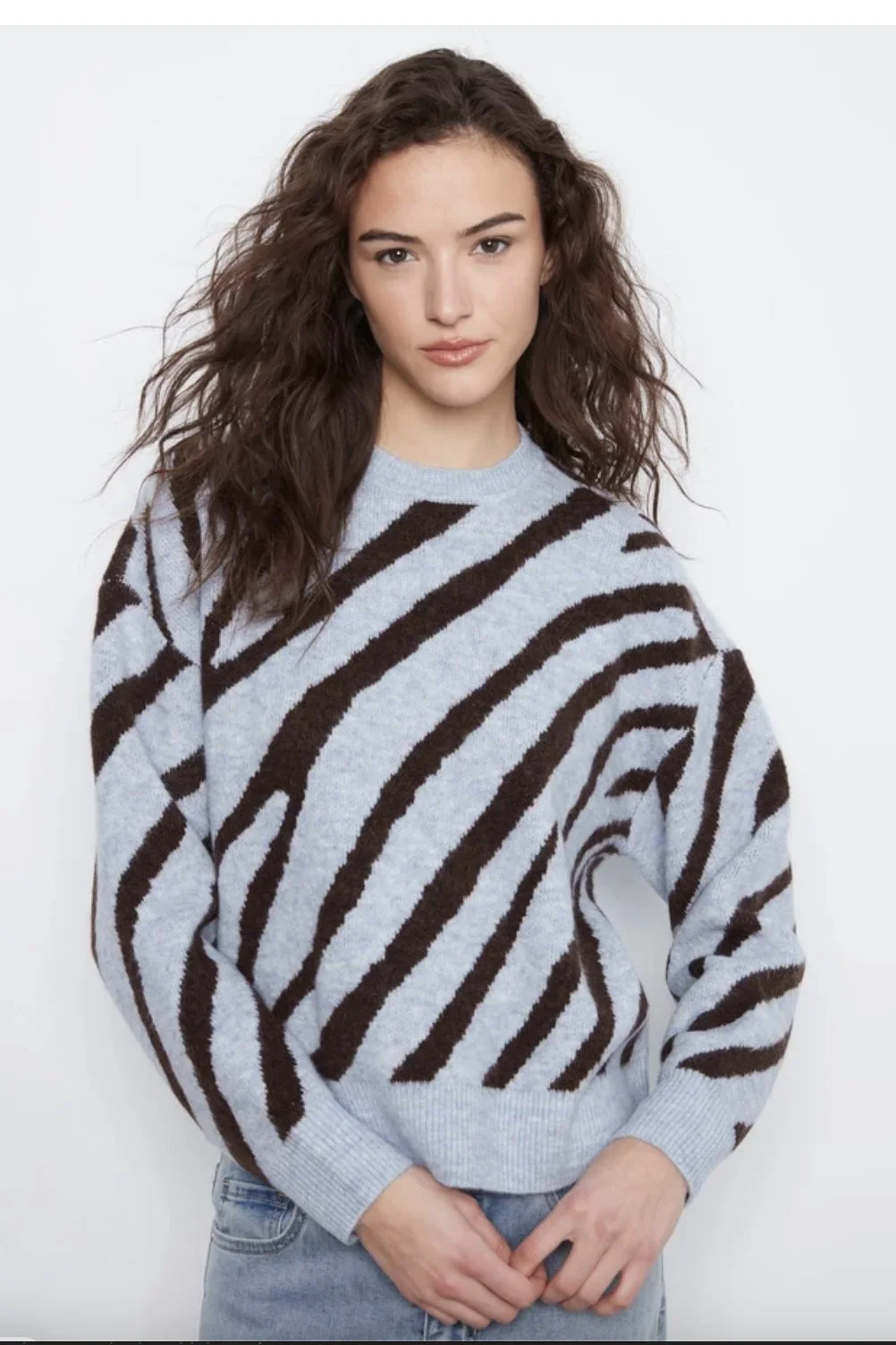 Charlie B Animal Print Knit Sweater In Blue Zebra